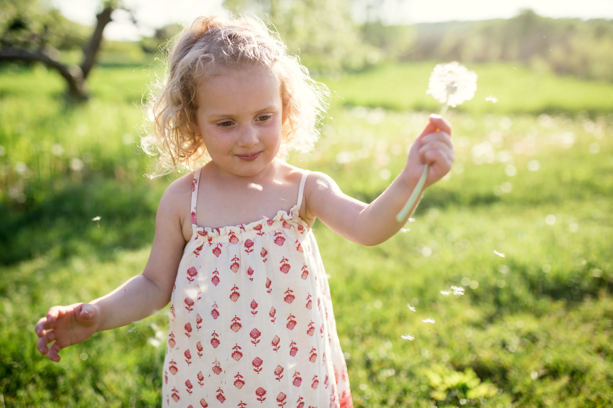 ObstFamilyBlog-1006.jpg