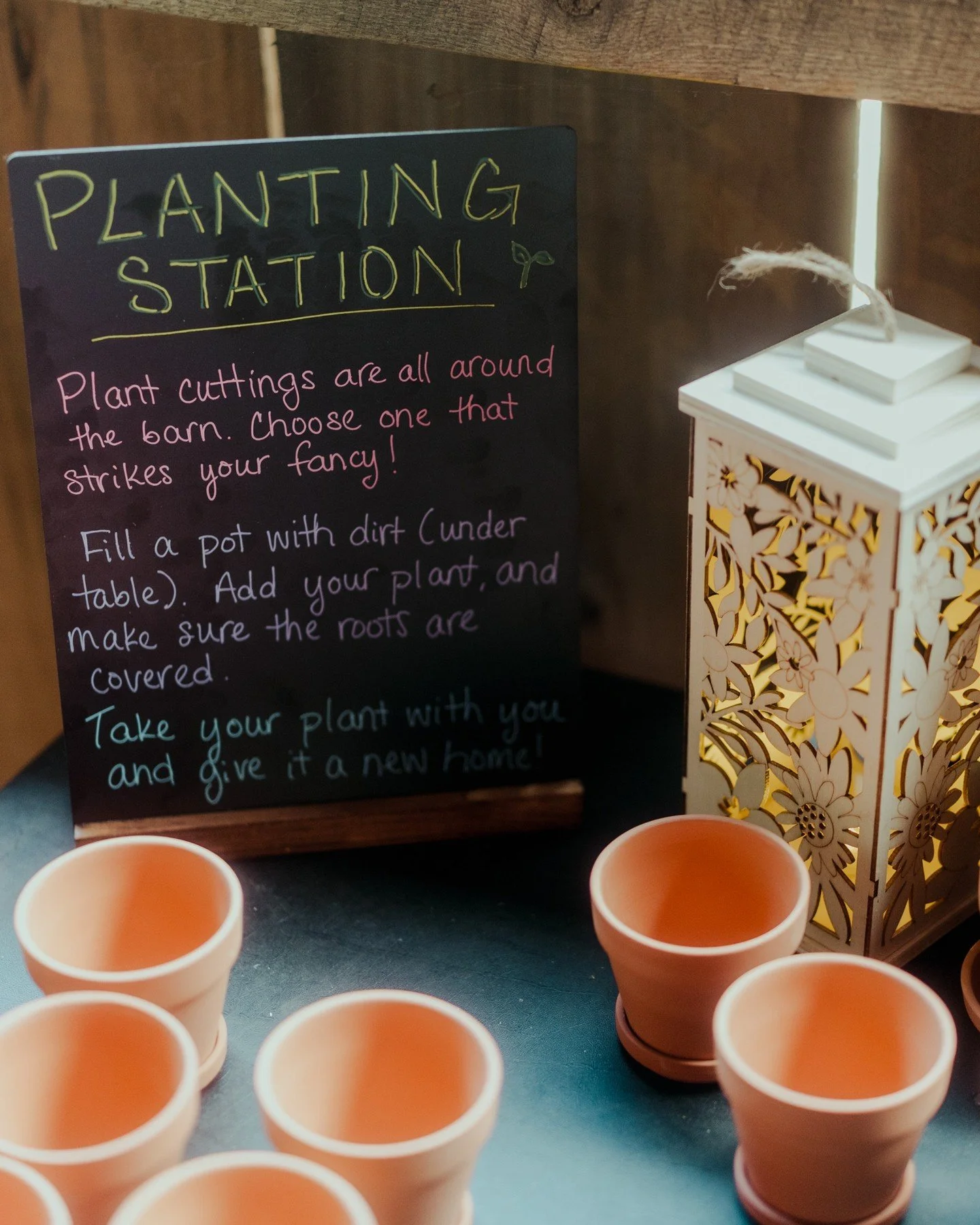 Um... okay Jill + Kyle, coming in hot with the best wedding favors ever! Check out this awesome idea of guests taking home plant cuttings (which were used as decoration) as wedding favors! 
.
.
.
.
.
.
[Image Description: Image 1 - An image of a grou