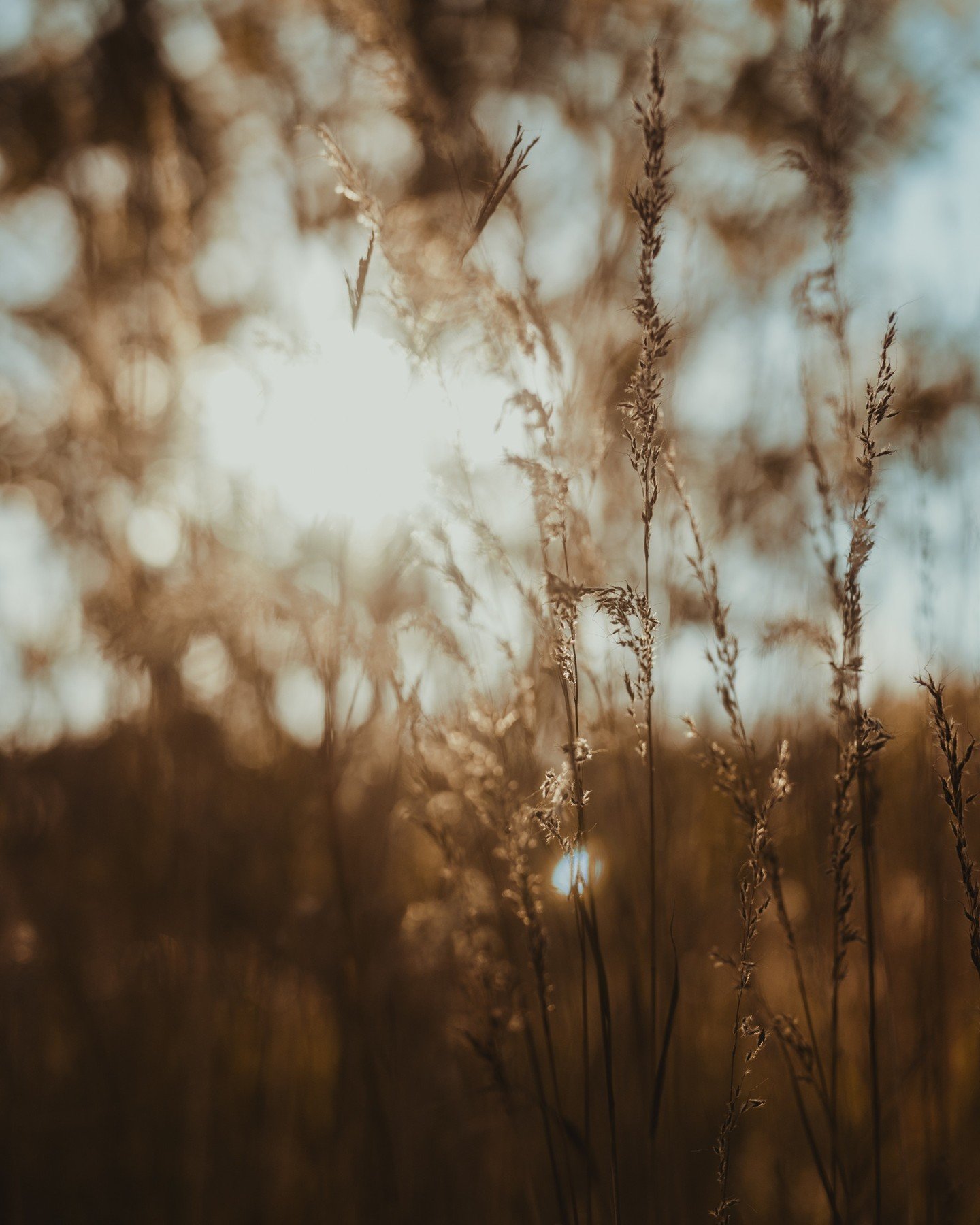 I'm curious friends, what are some of the most helpful non-religious things you've done to help you process grief? Share only if you feel comfortable, but I'm in a season of grief currently, and looking for healthy and healing ways to cope with it. W