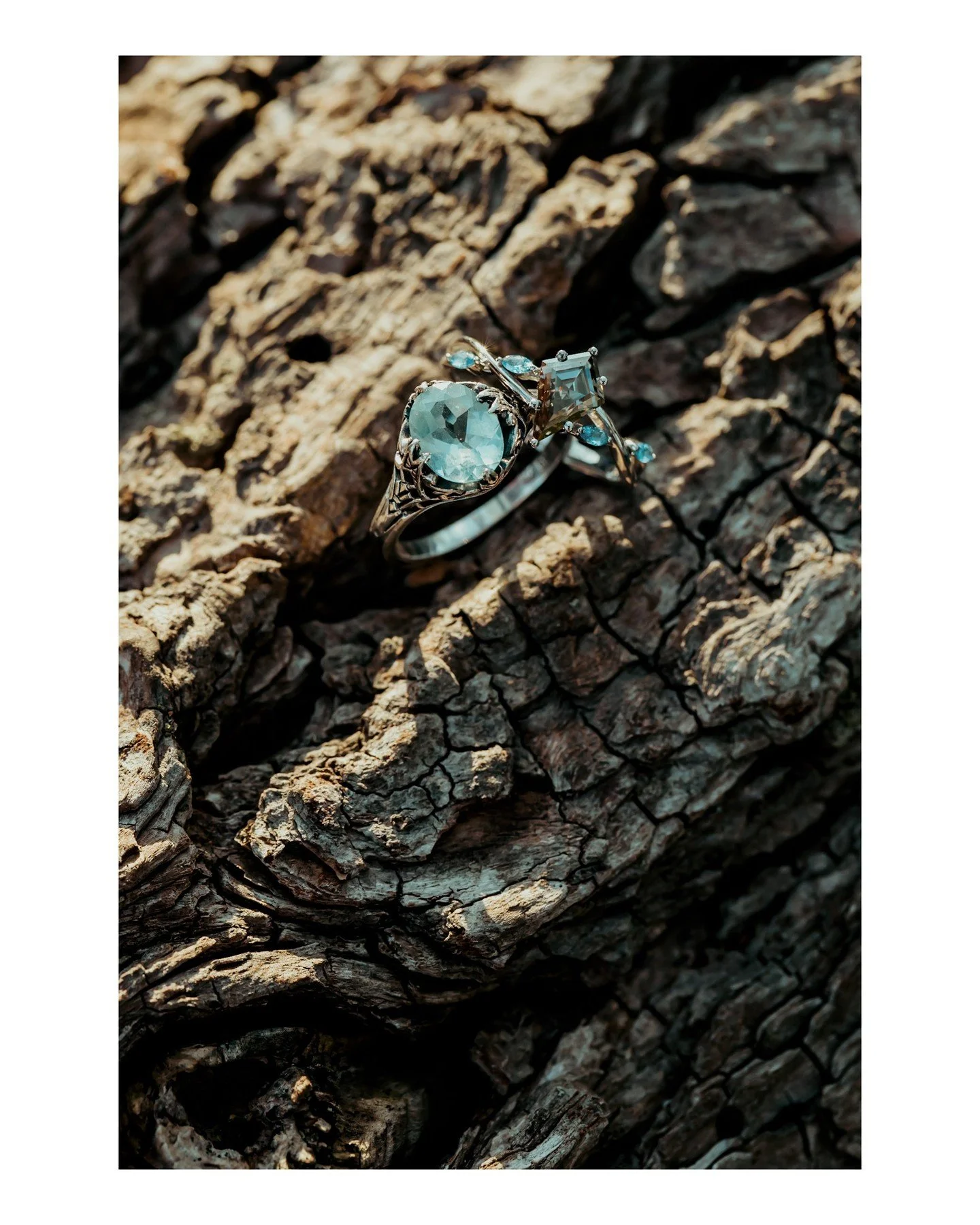 Aren't these SO FREAKING LOVELY?! That beautiful aquamarine color is gorgeous 😍
.
.
.
.
.
.
[Image Description: A close-up image of a 2 white gold engagement rings with aquamarine colored stones sitting on a tree branch with sun coming in from the t