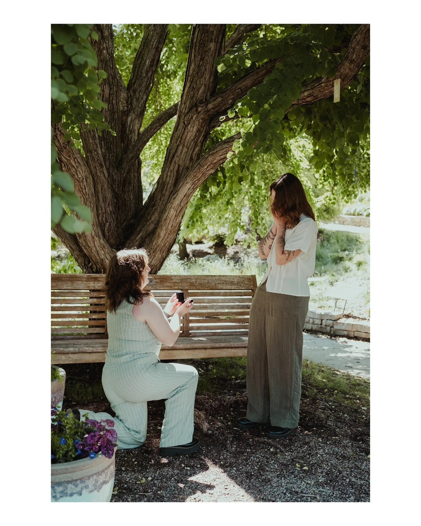 Ashley's surprise proposal to Ayla was lovely in every way! Ashley proposed on their 5th year anniversary at the Allen Centennial Gardens (with a little help from some friends in adorable disguises), and it was so, sooooo sweet! Check out the more pi