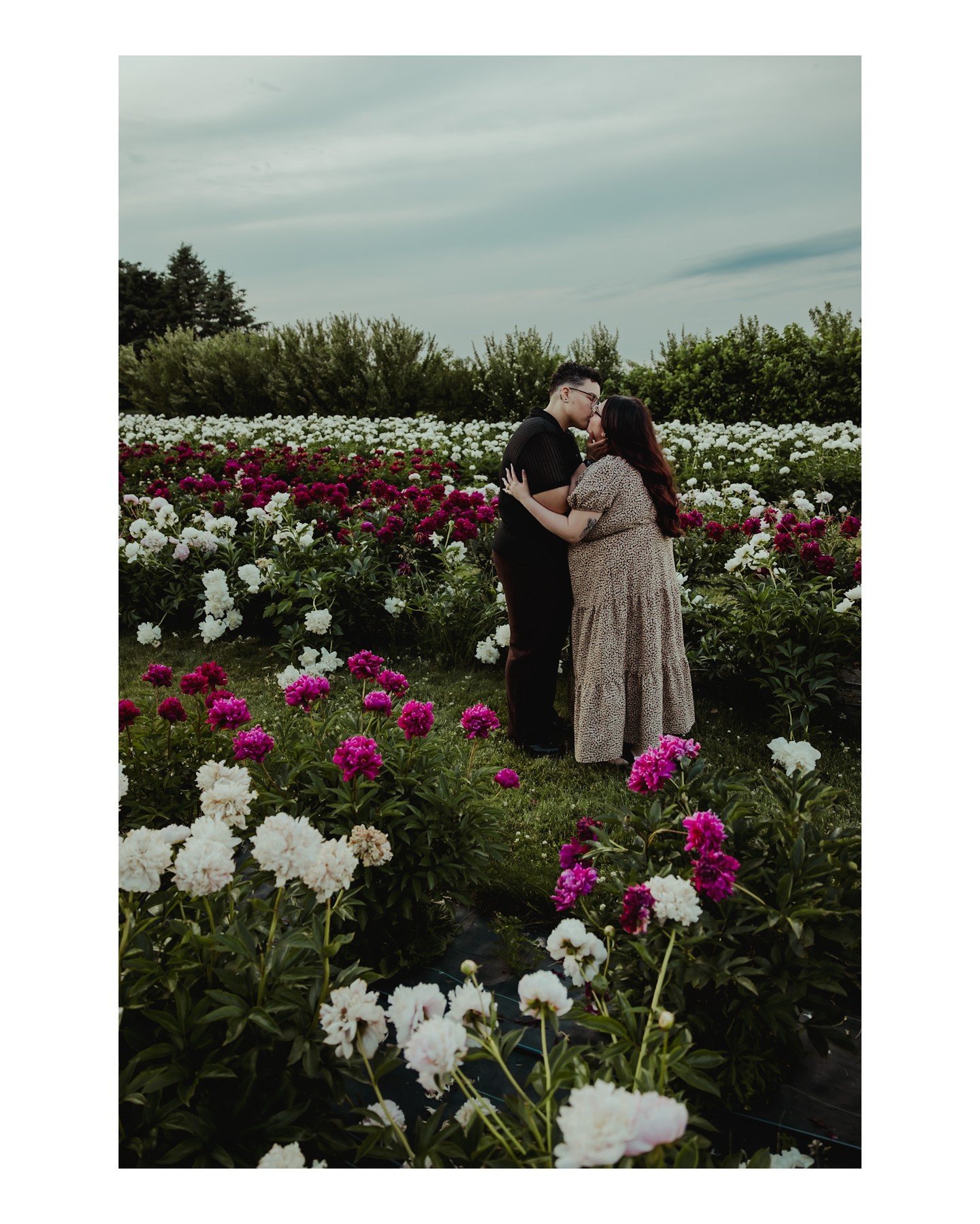 I went from not having had a surprise proposal in ages to doing TONS of beautiful queer surprise proposals this year in just the last few months, and I'm LOVING it! 😻 This surprise proposal at @ovanspeonyfarm was sooooooo beautiful! 
.
.
.
.
.
 - Ca