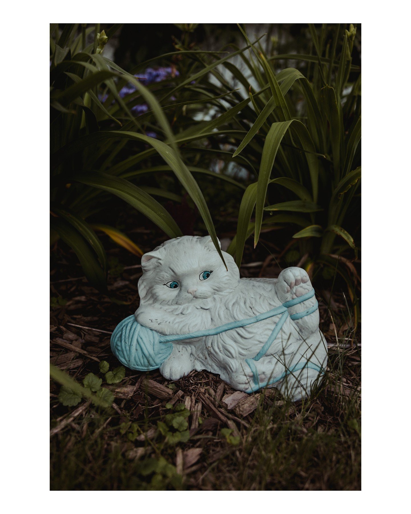Just look at this little buddy I found while doing a portrait session a few weeks ago! JUST LOOK AT HIM! 🤩
.
.
.
.
.
.
.
[Image Description: A close-up image of a white porcelain cat statue that is playing with a light blue ball of yarn and has one 
