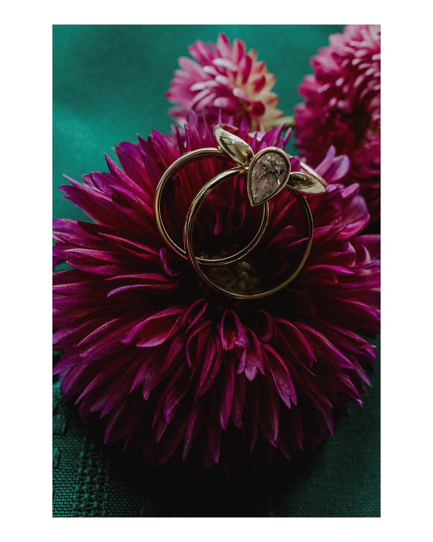 Those colors though 😍 We LOVE a colorful wedding day! Say "no thanks" to sad beige weddings 😘
.
.
.
.
.
Here are the people/vendors that helped make this wedding day awesome! 
 - Bride: @lena.yeakey
 - Ceremony + Reception Venue: @aldoleo
