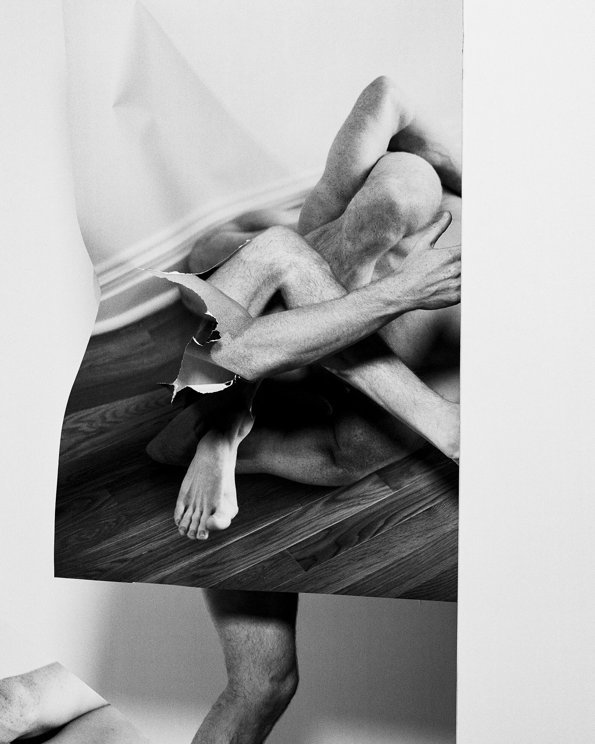 Dis(figure) Study IV, 2018