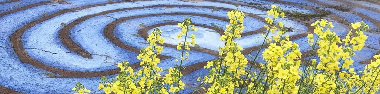 Okra Abbey -- Labyrinth flowers.jpg