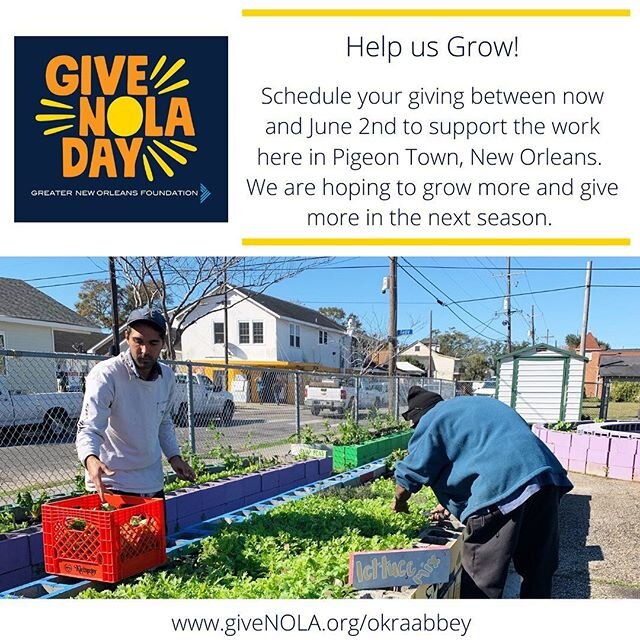 Give NOLA Day is right around the corner. Help us grow with a gift at givenola.org/okraabbey. #givenoladay #givenoladay2020 #okraabbey #givinggarden #communitygarden #pigeontown #neworleans