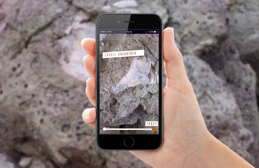Fossil.gif