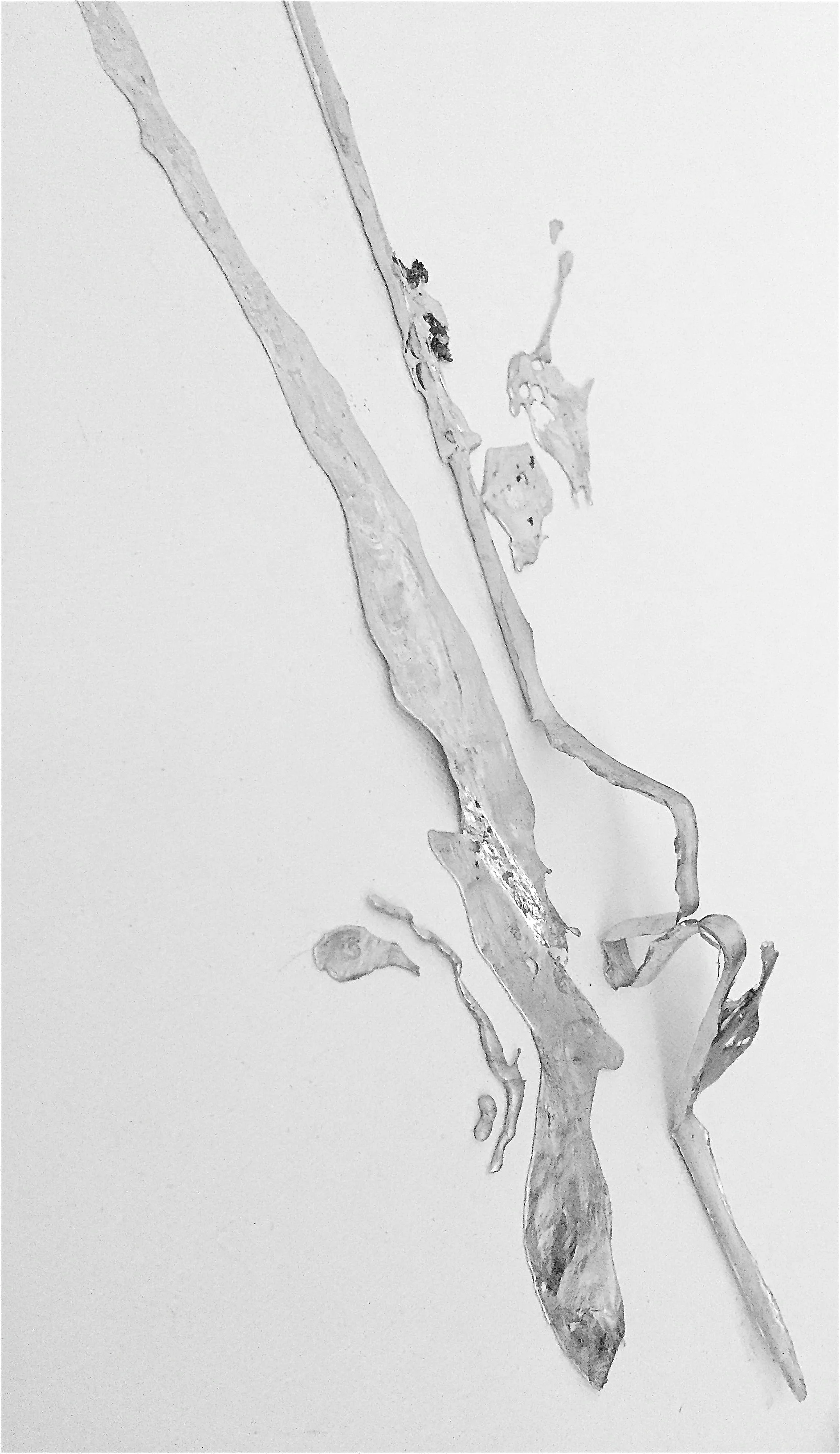 raw grace duo 1 | detail