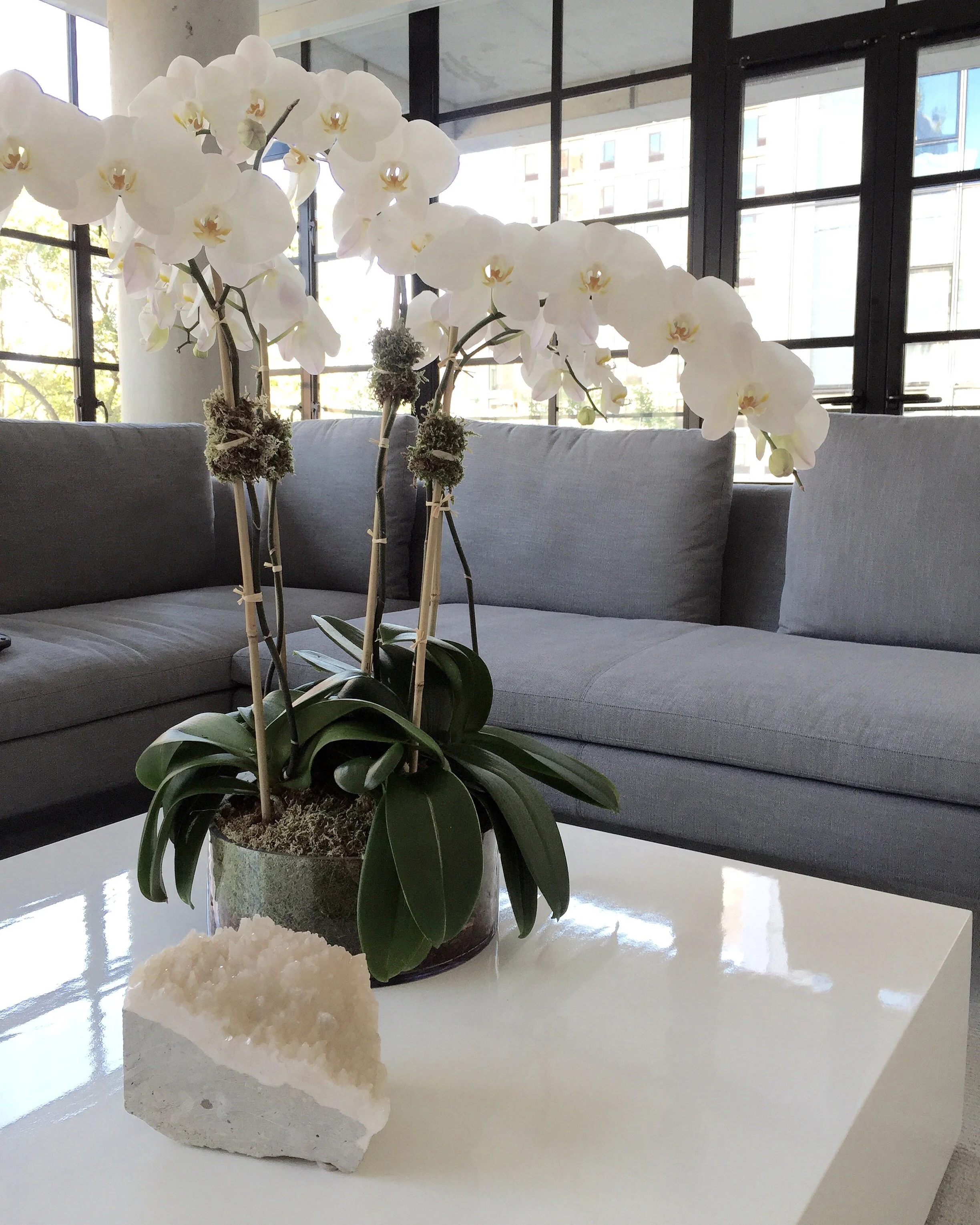 highline apt, chelsea, NYC
