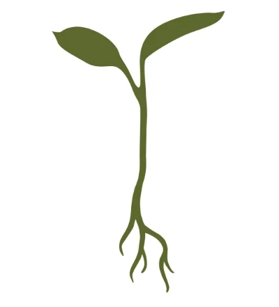 RG-Sprout-Logo.jpg