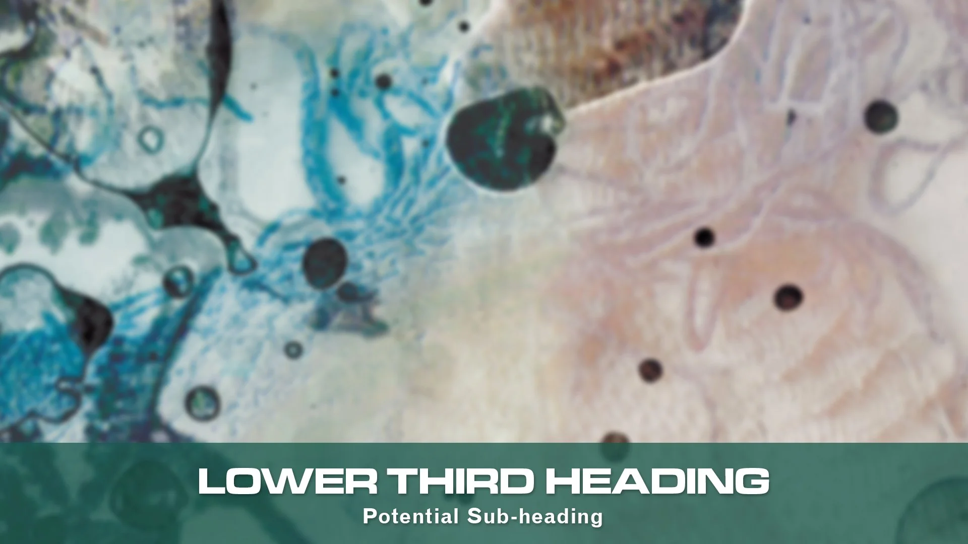 IGB-LowerThirds-03.jpg