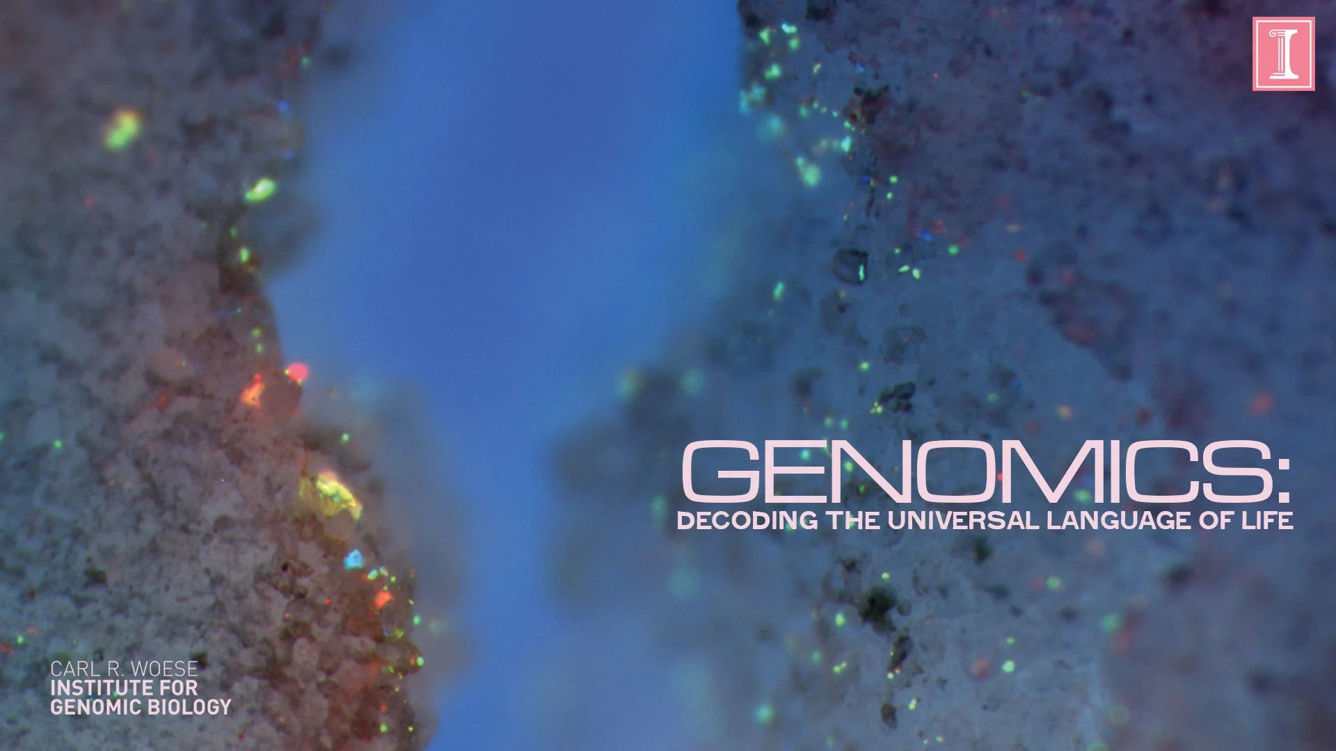 IGB-Title-0201.jpg
