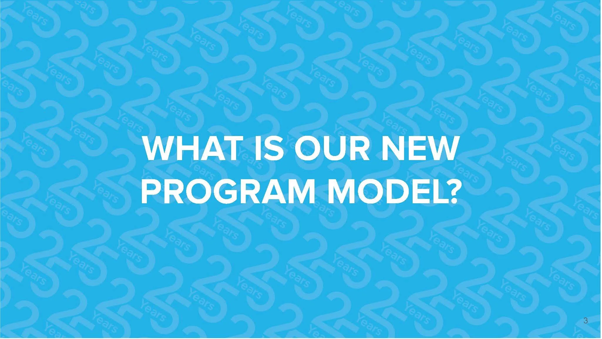 Program Model_ Goals, Impact and Investments_Page_03.jpg