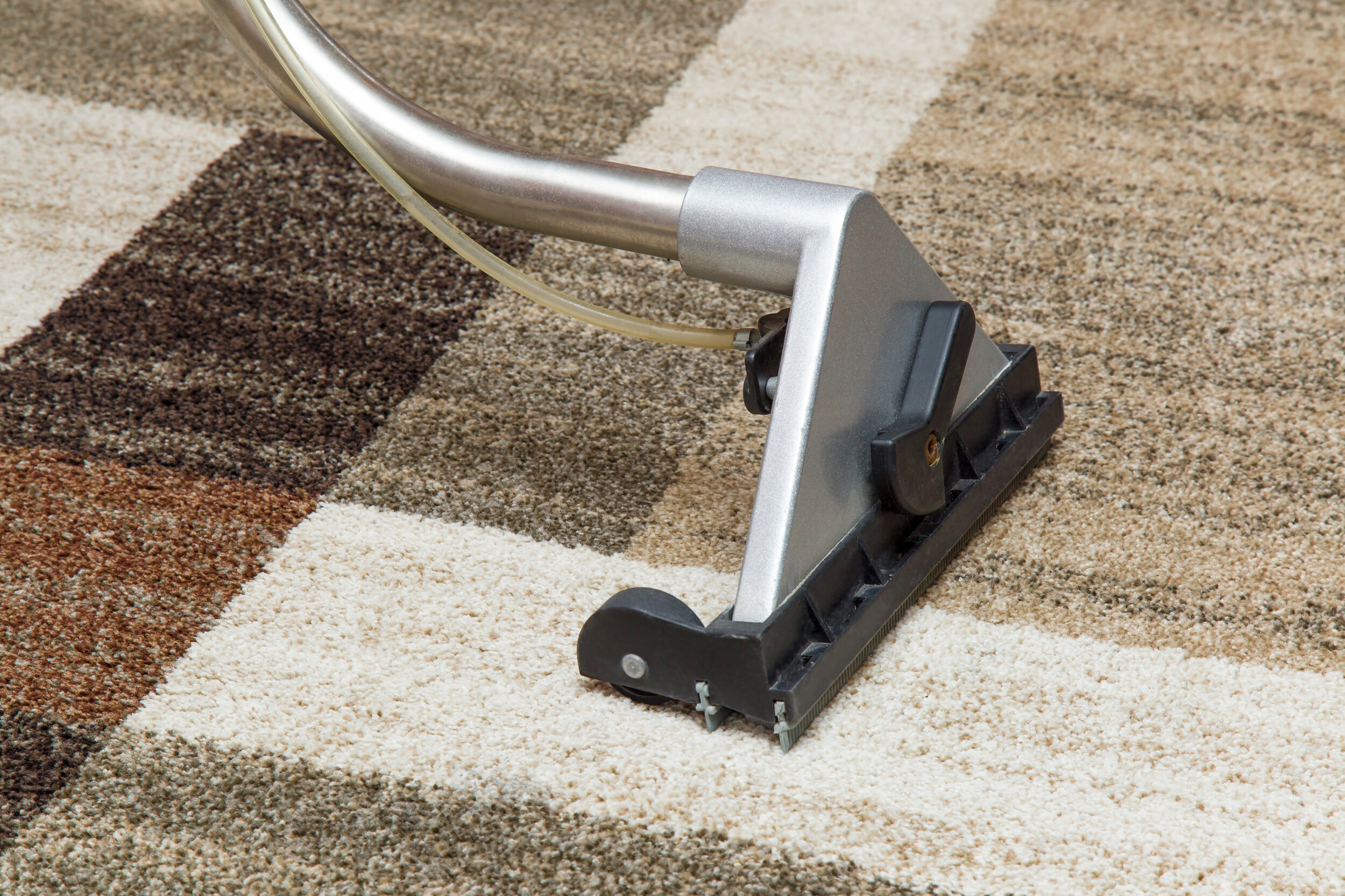 rugs-cleaning-services.jpeg