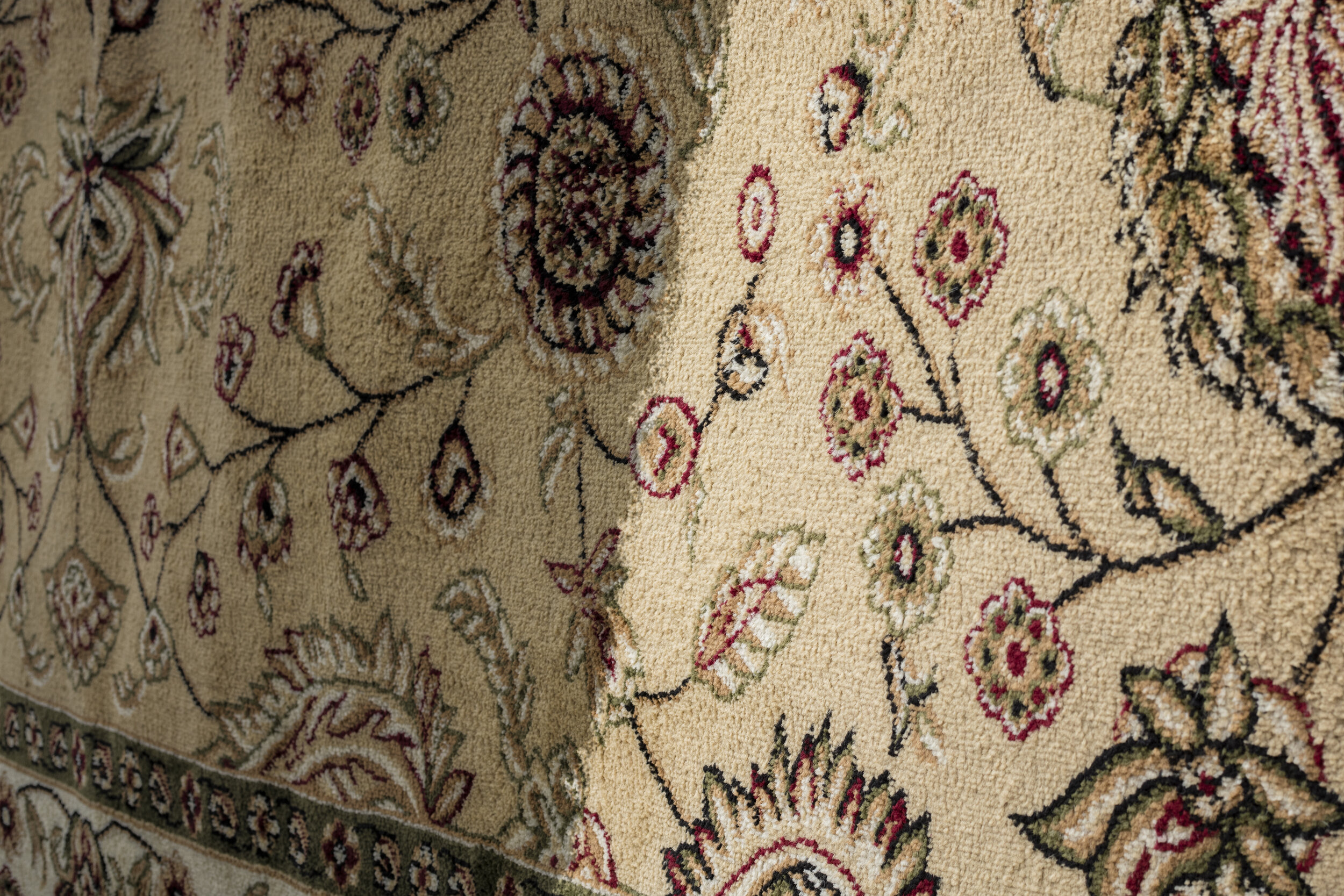 local-area-rug-cleaning.jpeg