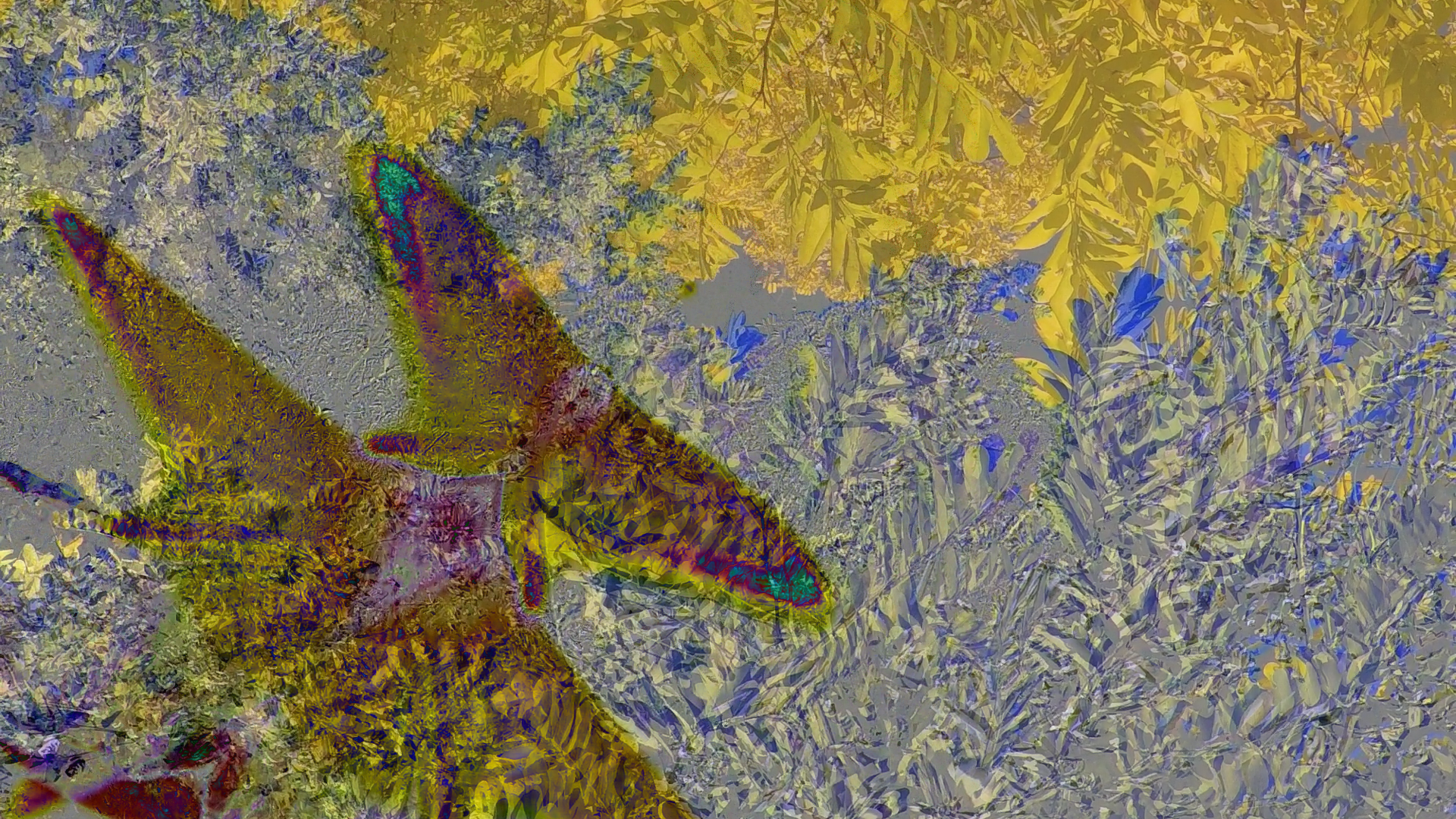GOPR0254 (0-01-01-10).png