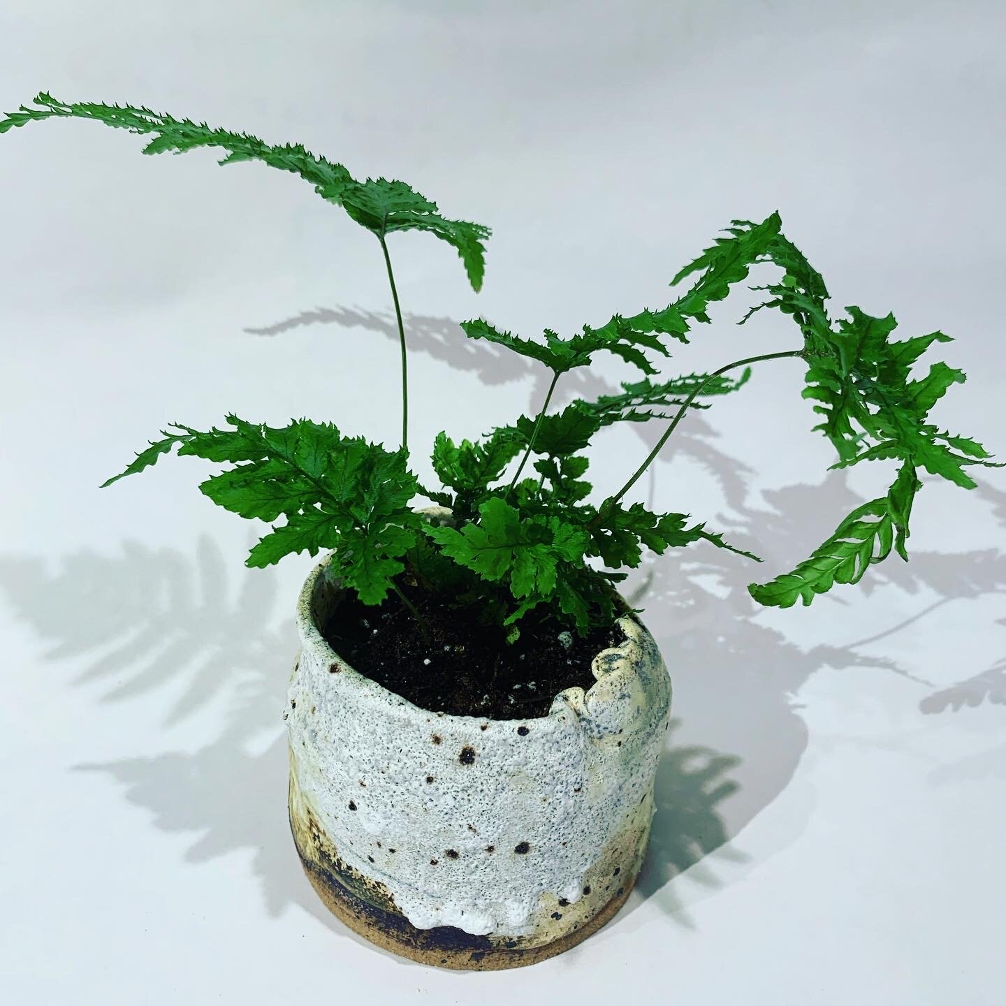 20191206_063034582_iOS.jpg