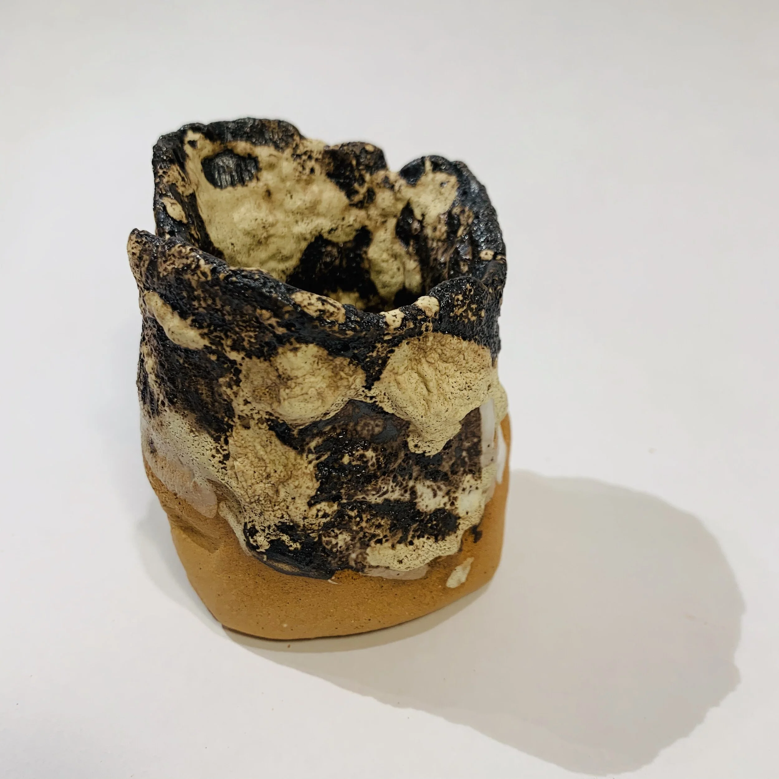 20191117_004107506_iOS.jpg