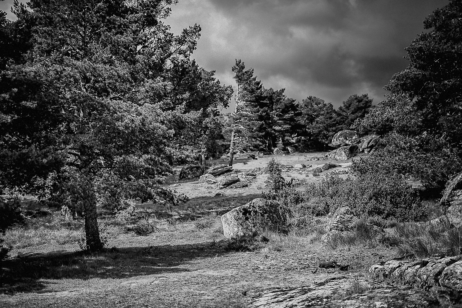 Landscapes in the Heart