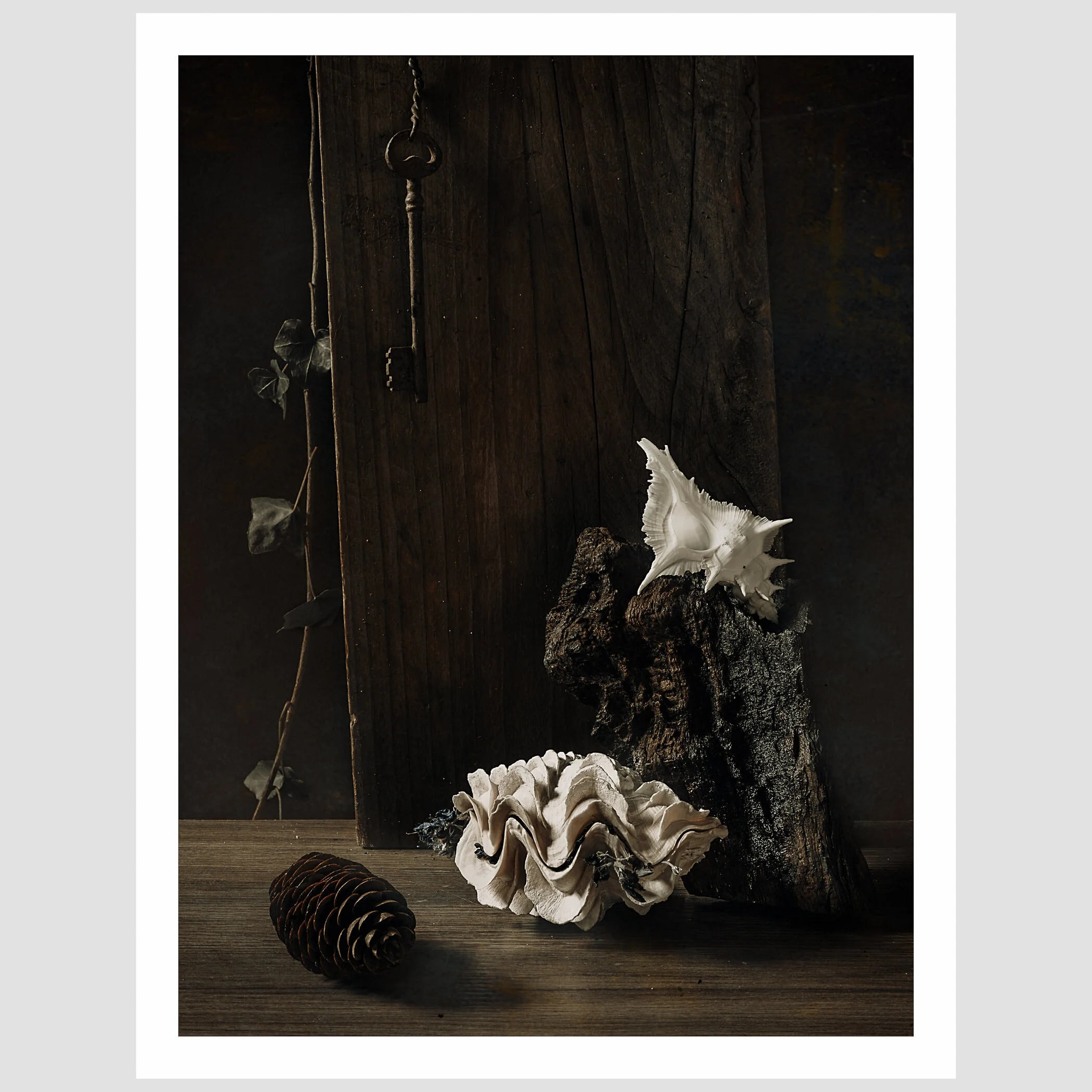 COVID19-PHOTO-FEDEGRAU-RSS-09-FG.jpg