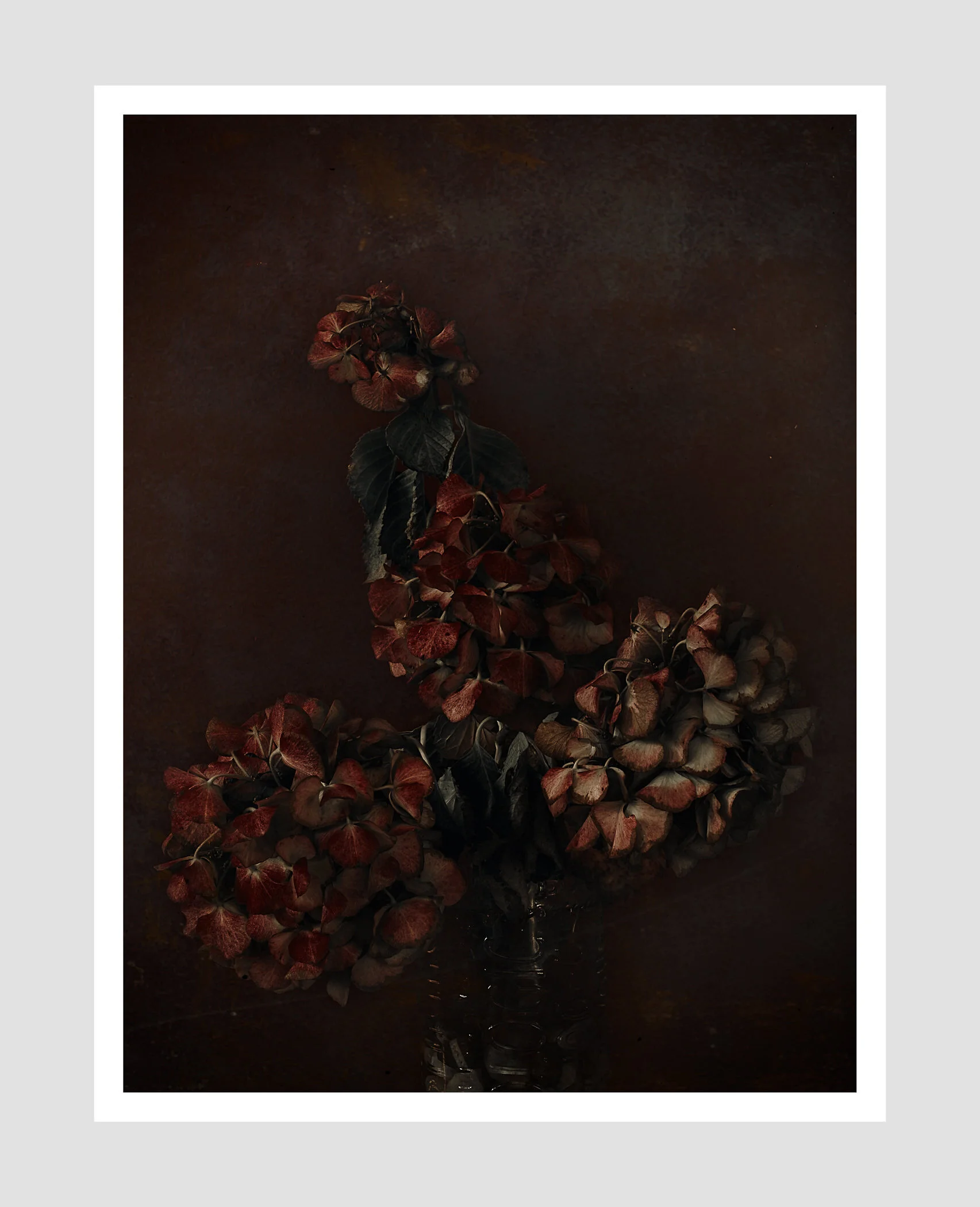 PANDEMIA-2020-PHOTO-FEDEGRAU-2_OLA-LEICA SL2-RSS-003-A.jpg