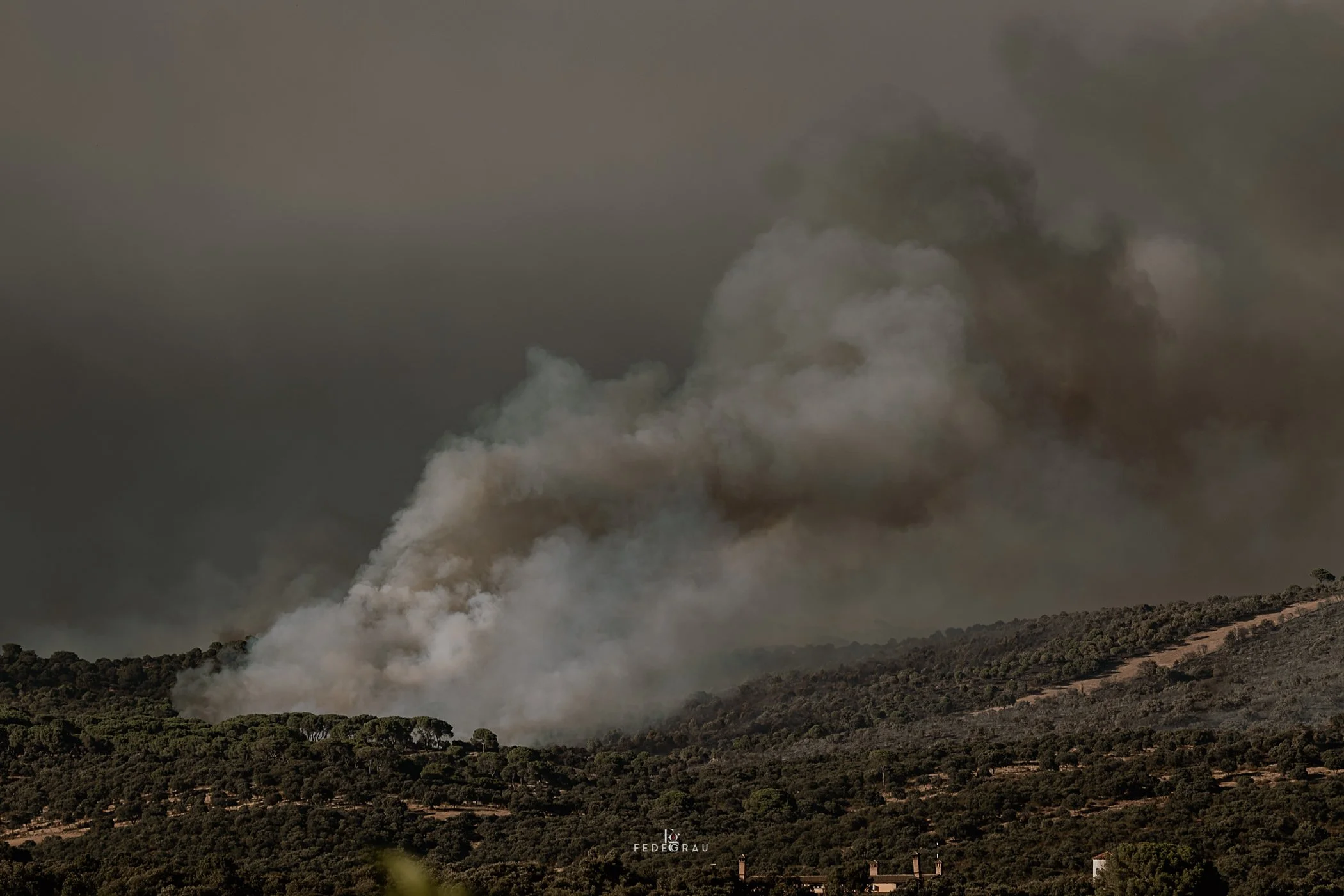 After the Fire-2026-PHOTO-FEDEGRAU-1.jpg