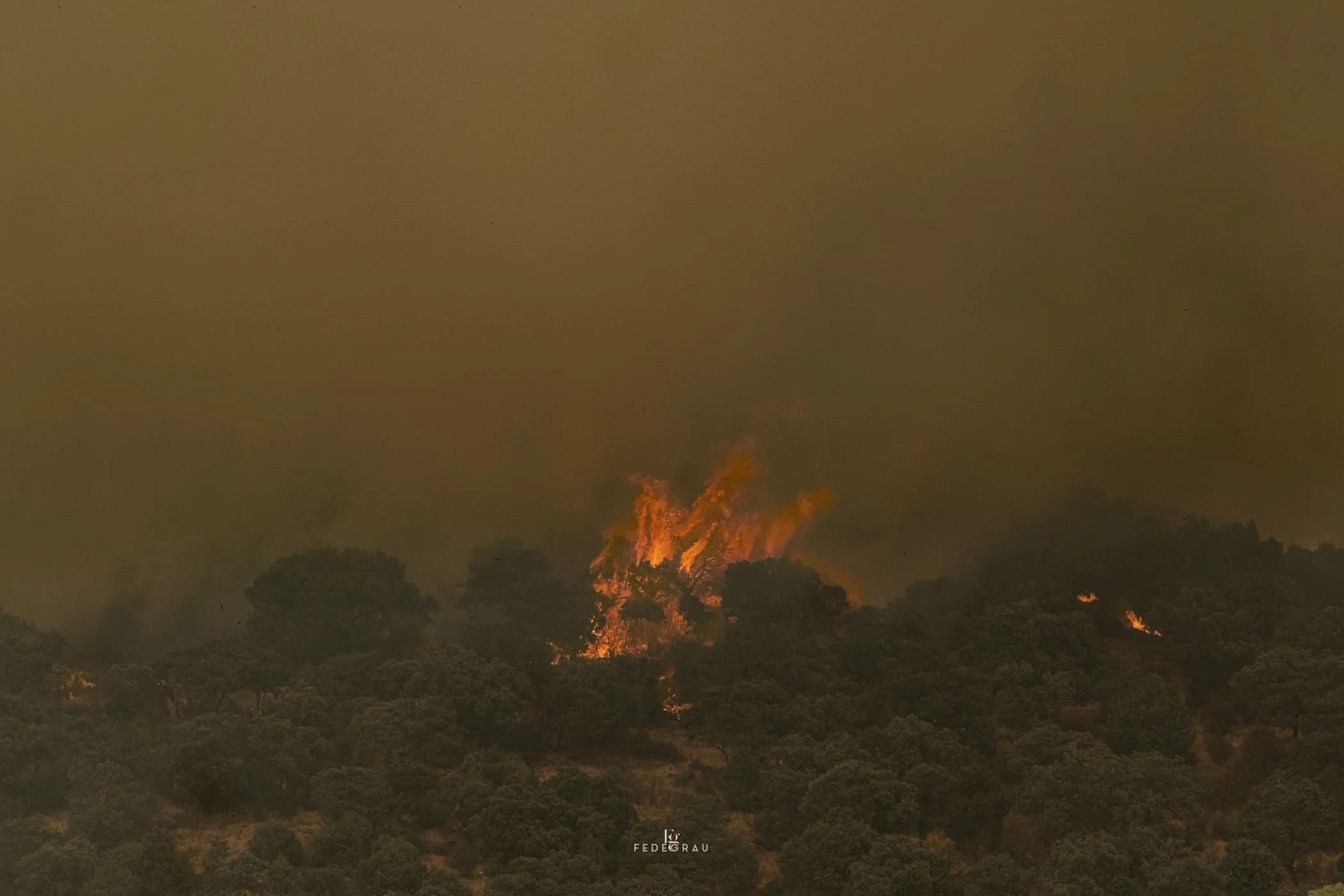 After the Fire-2026-PHOTO-FEDEGRAU-6.jpg