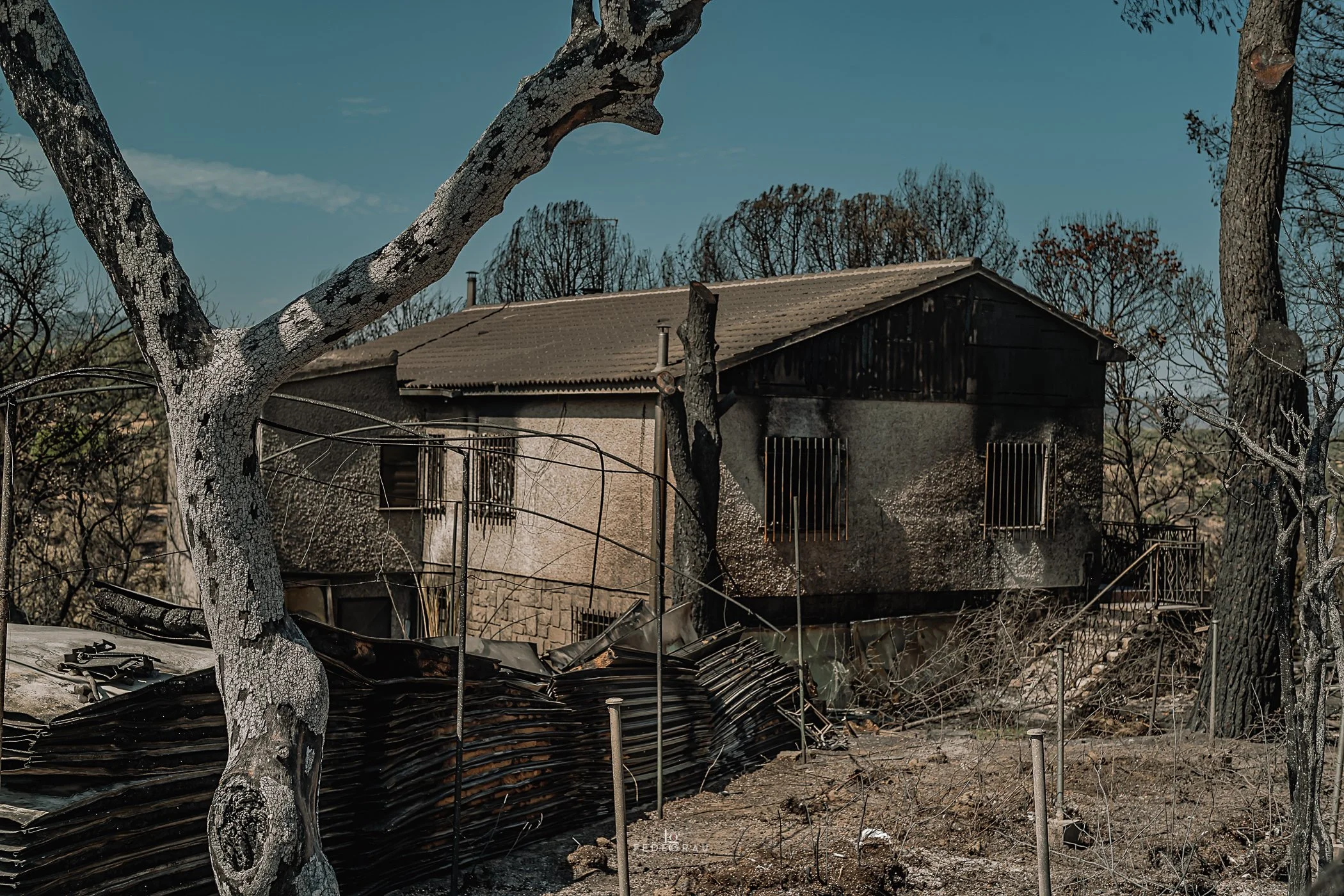 After the Fire-2026-PHOTO-FEDEGRAU-8.jpg