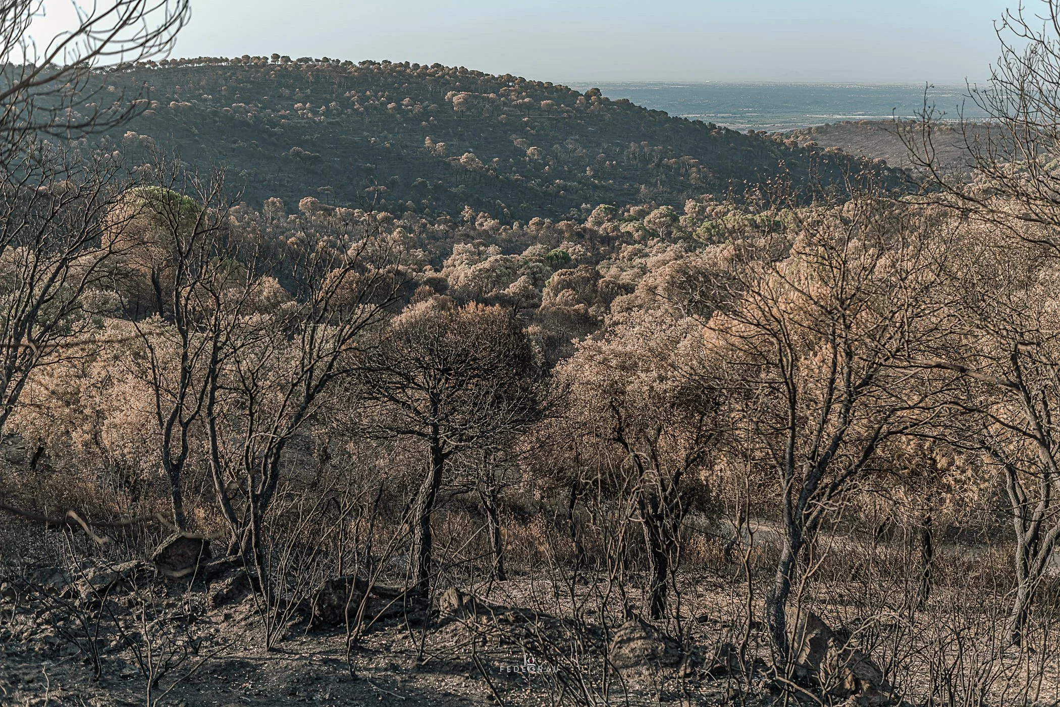 After the Fire-2026-PHOTO-FEDEGRAU-12.jpg