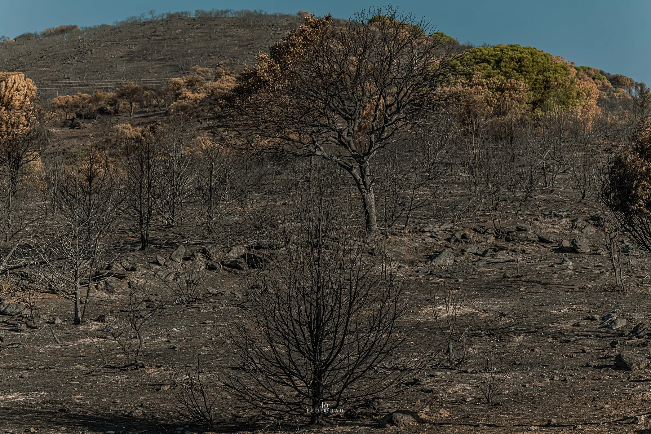 After the Fire-2026-PHOTO-FEDEGRAU-13.jpg