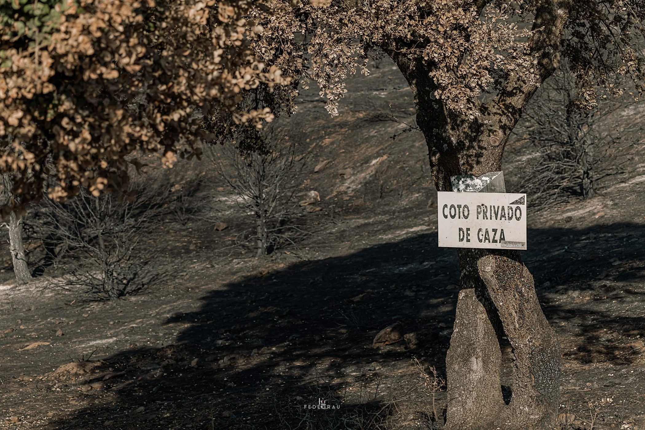 After the Fire-2026-PHOTO-FEDEGRAU-14.jpg