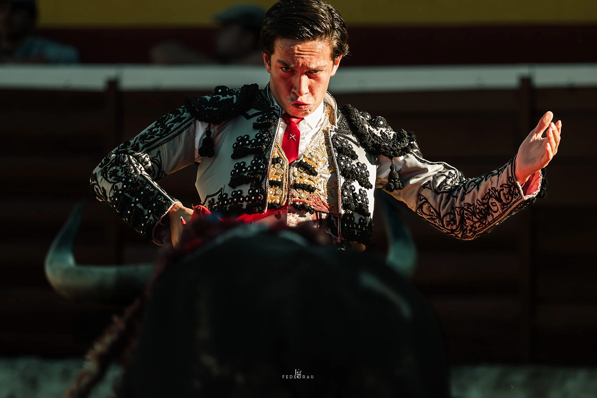 13-matador-facing-fighting-bull-fedegrau.jpg