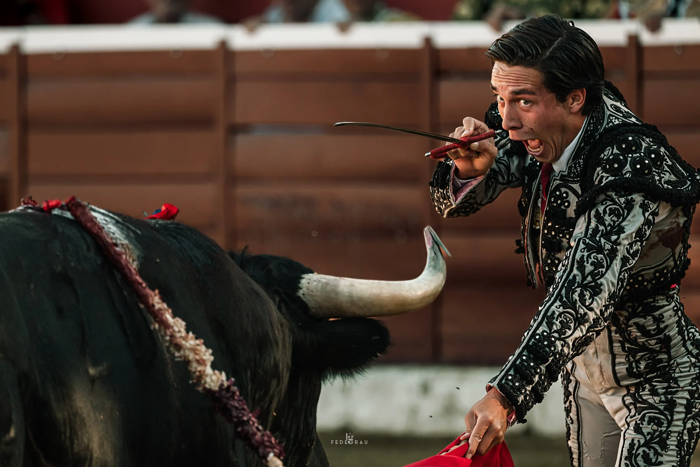 14-bullfighter-close-encounter-bull-fedegrau.jpg