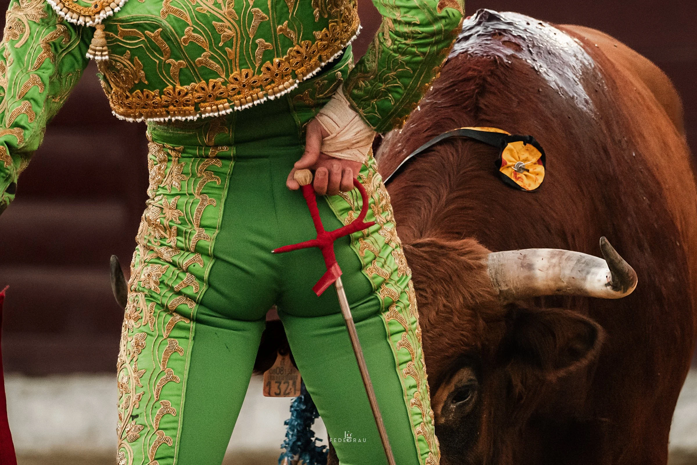 15-bullfighter-green-suit-bull-fedegrau.jpg