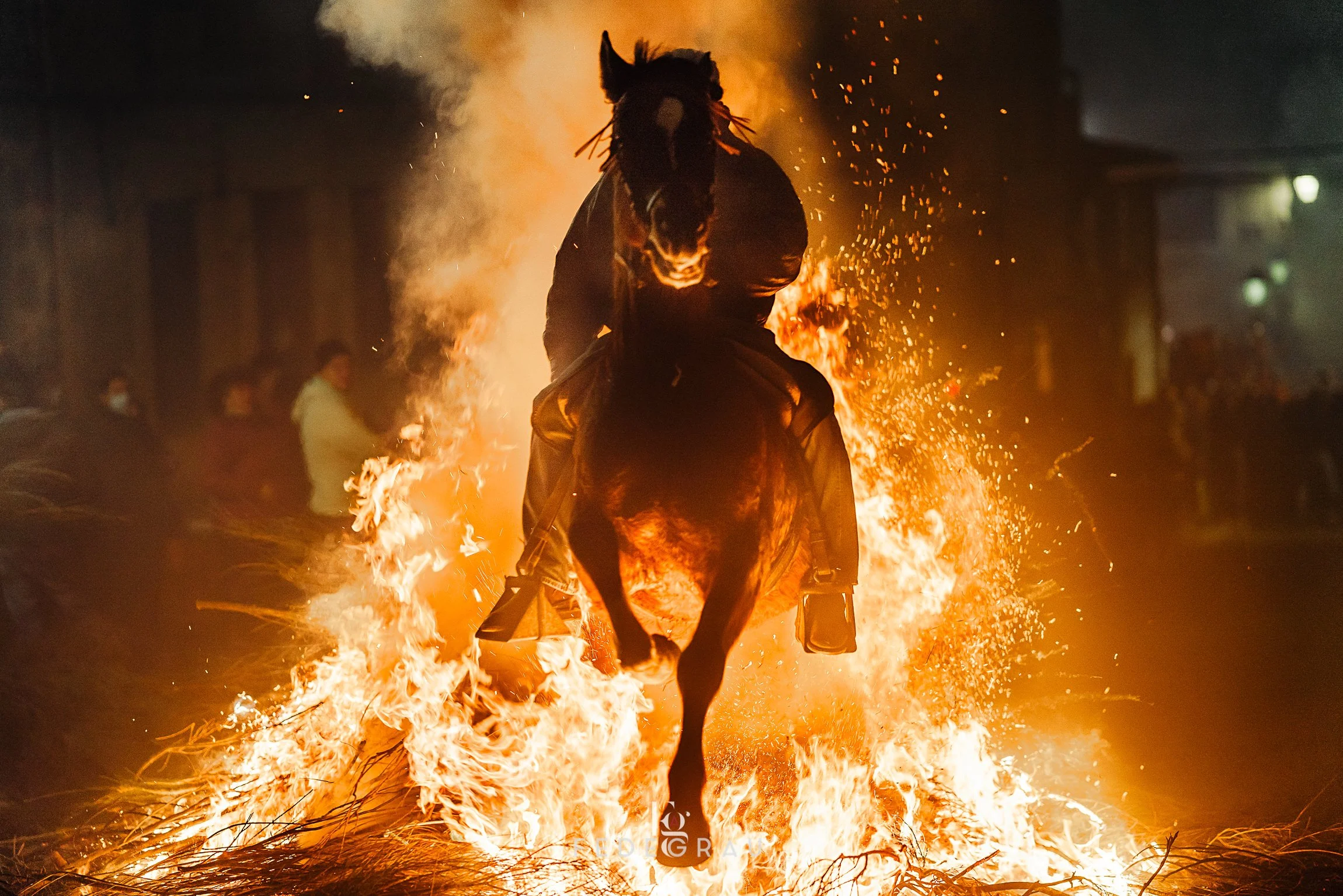 PHOTO-FEDEGRAU-LEICA SL2-LUMINARIAS2024SB-09.jpg