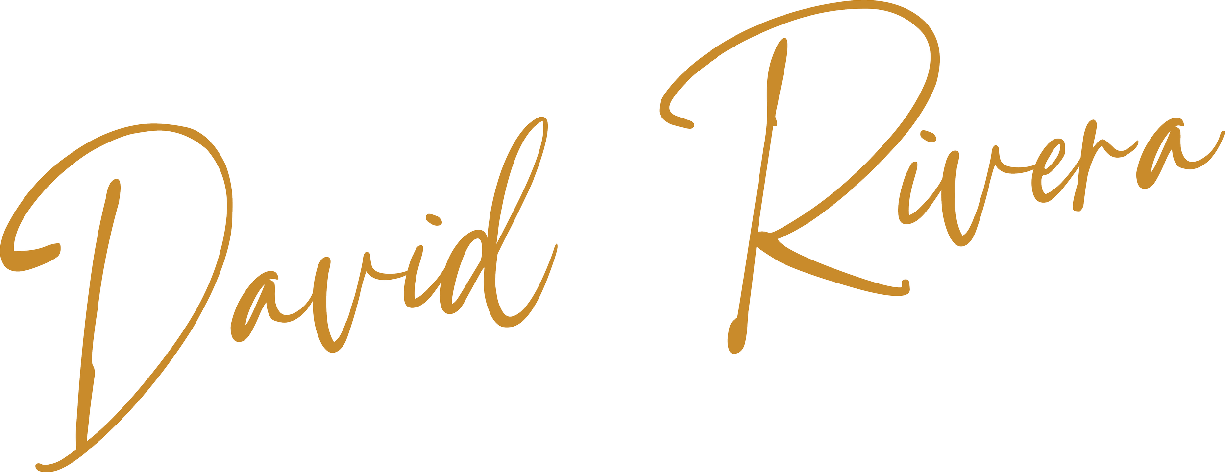 Elegant cursive text reading 'David Rivera' in brown on a transparent background.