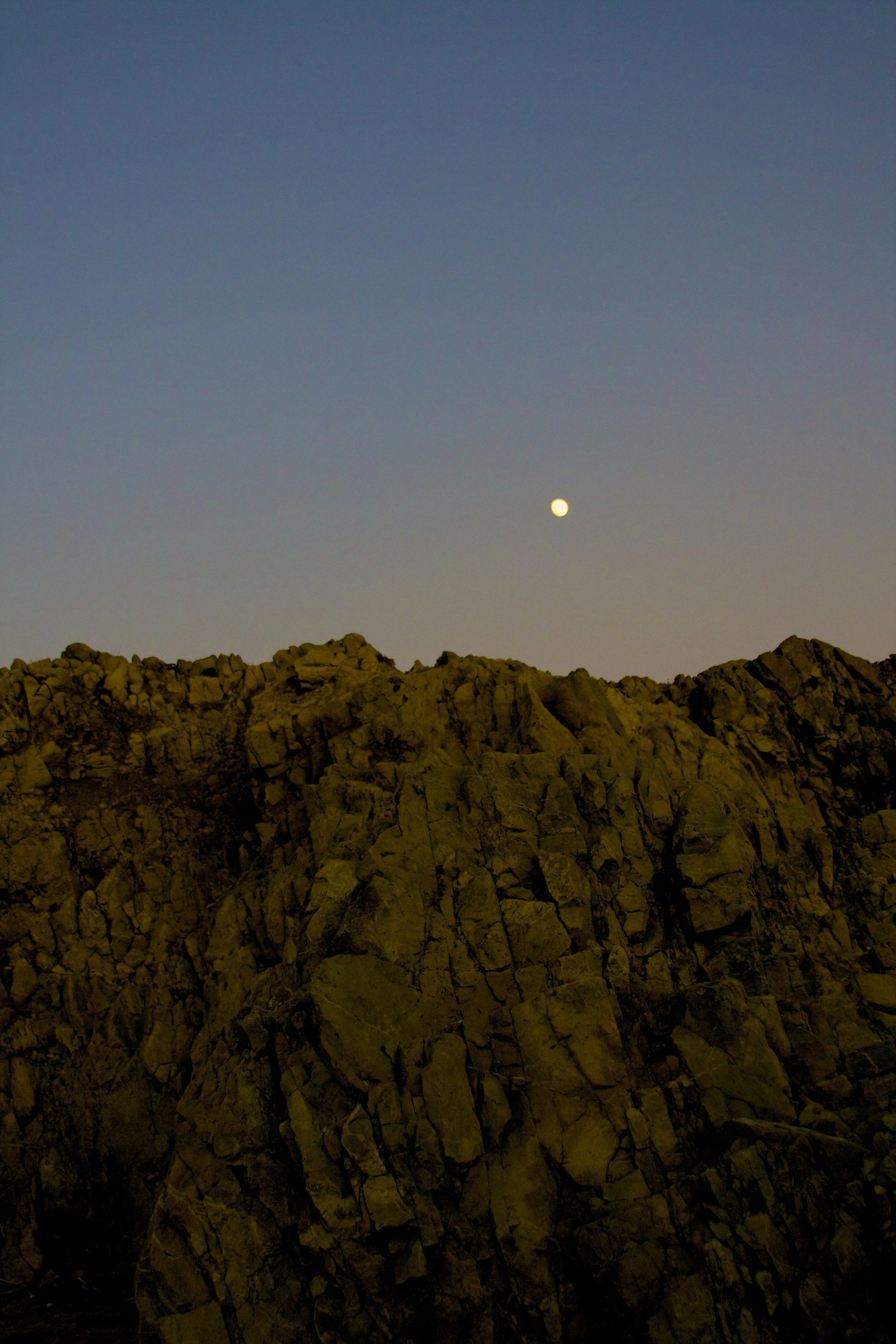 IMG_8775.jpg