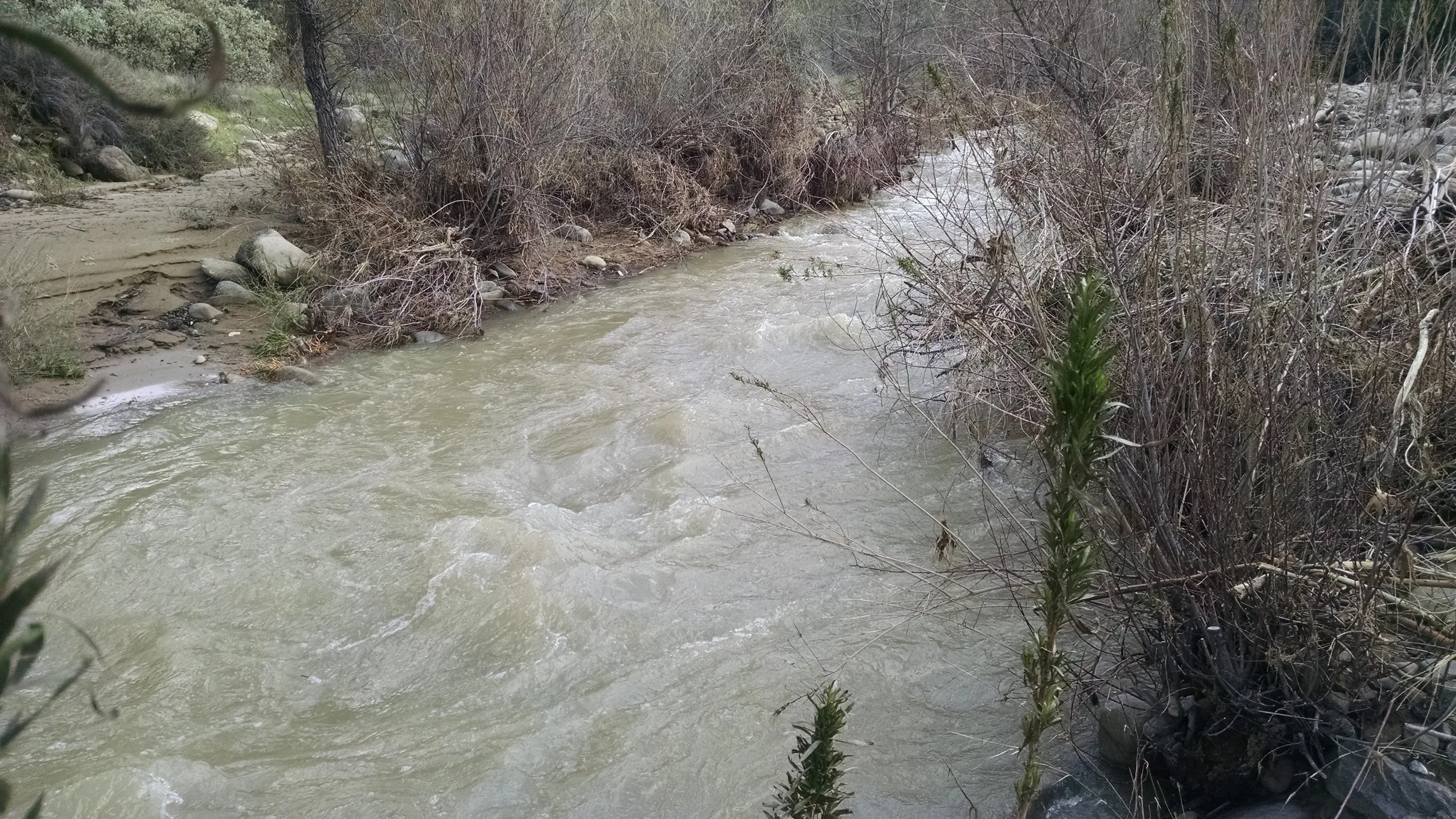 The trailhead at Nira Campground comes to a short terminus at the raging Sisquoc River.
