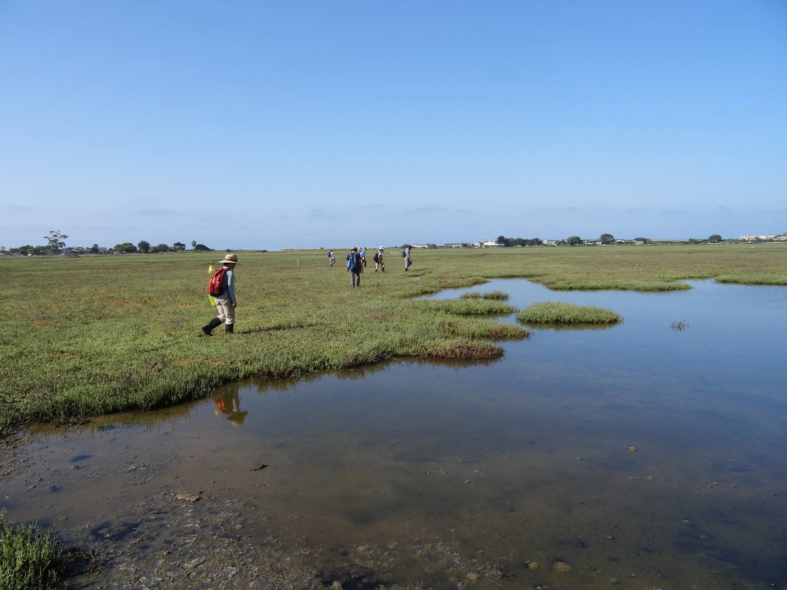 CIR Ironwood Natural History Event