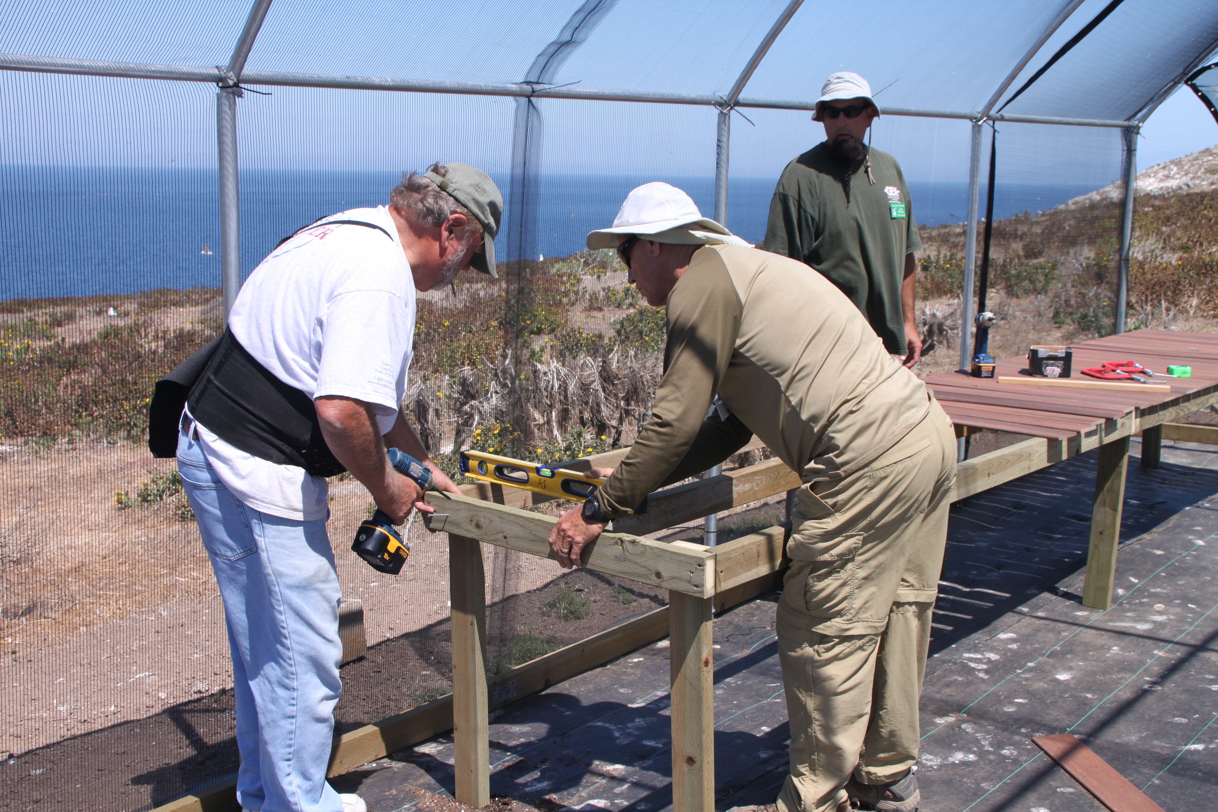 2010-08-31_Anacapa19.jpg