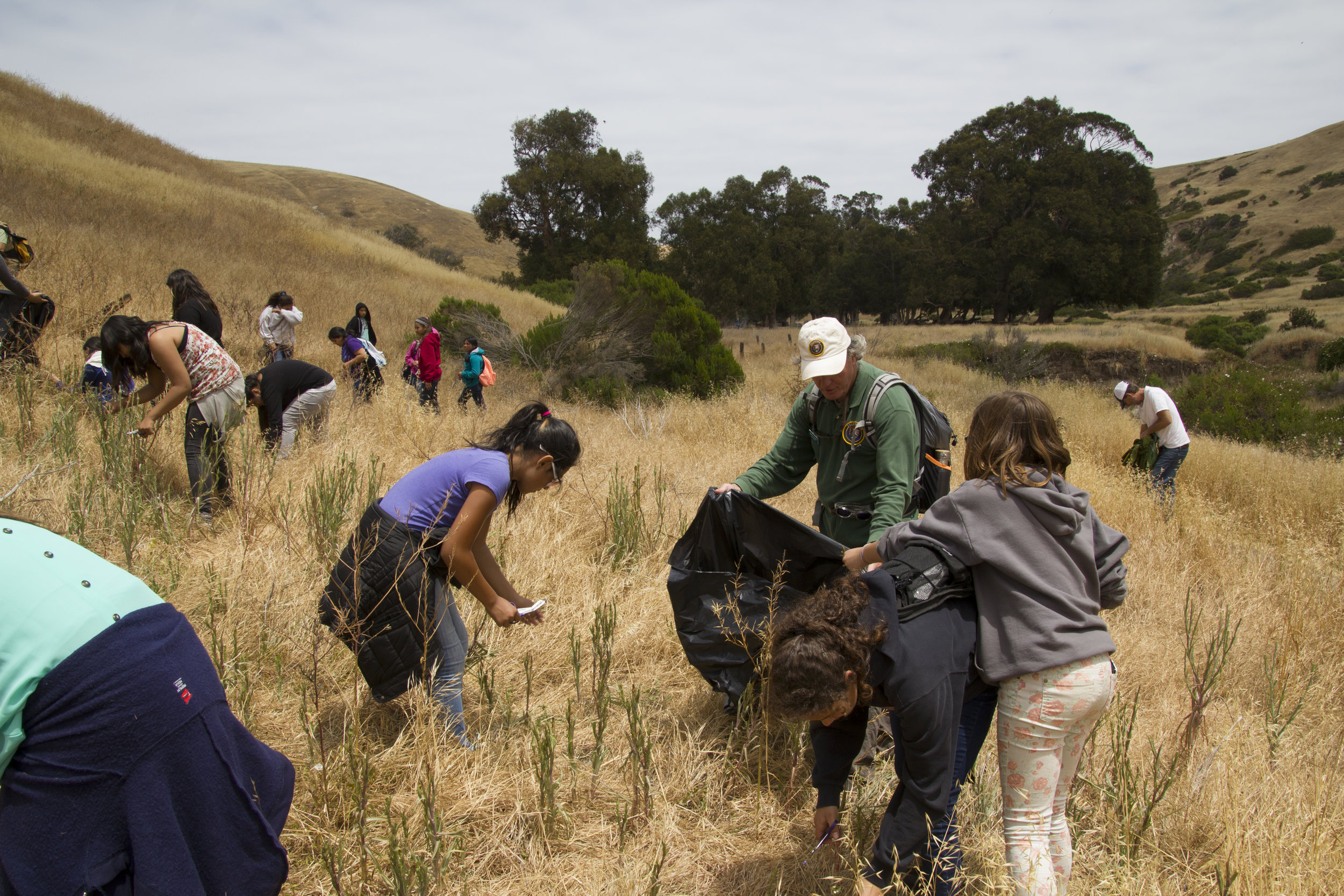 Kids Remove Invasive Plants from Santa Cruz Island