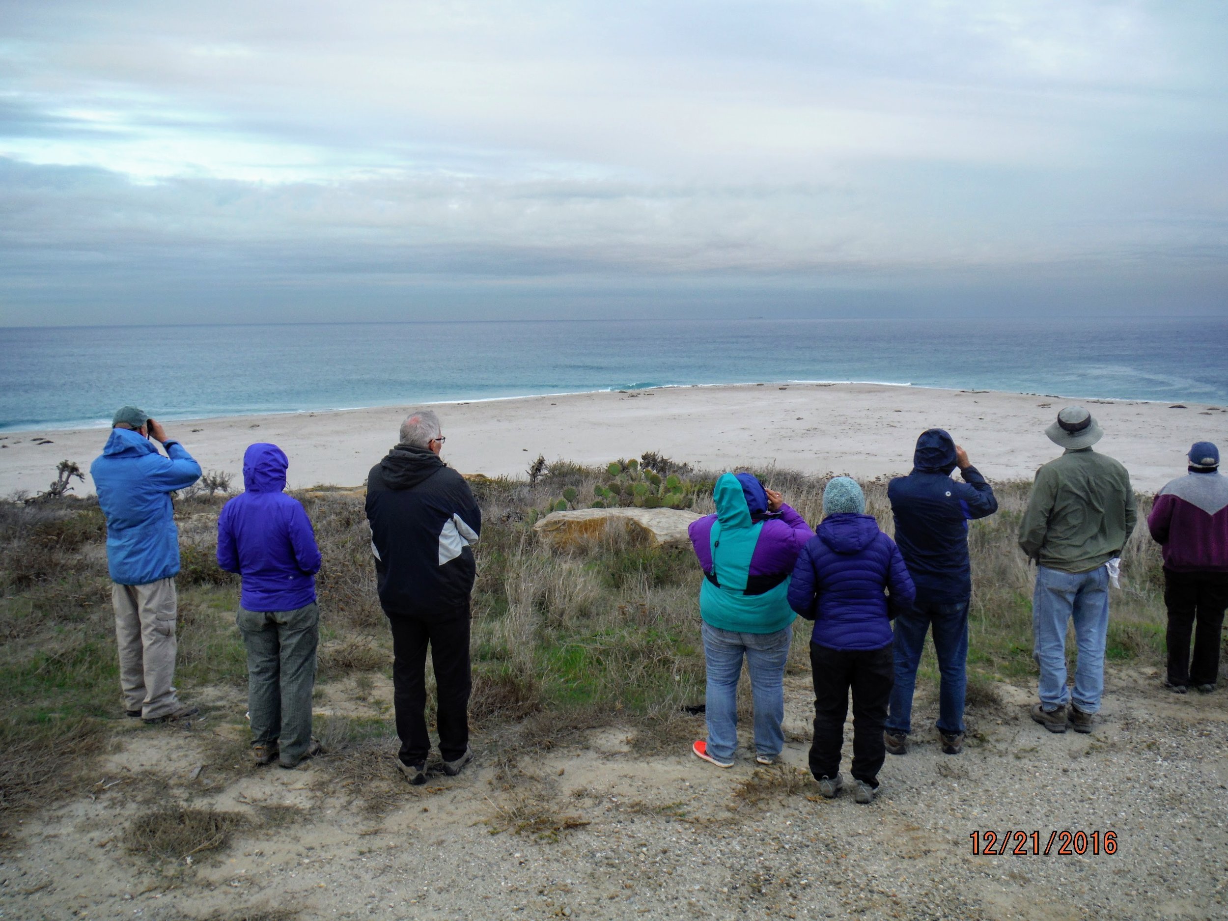 Volunteers on San Nicolas Island