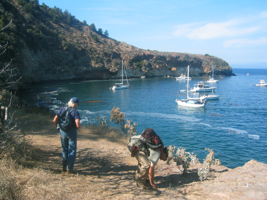 Exploring The Pelican Trail on Santa Cruz Island