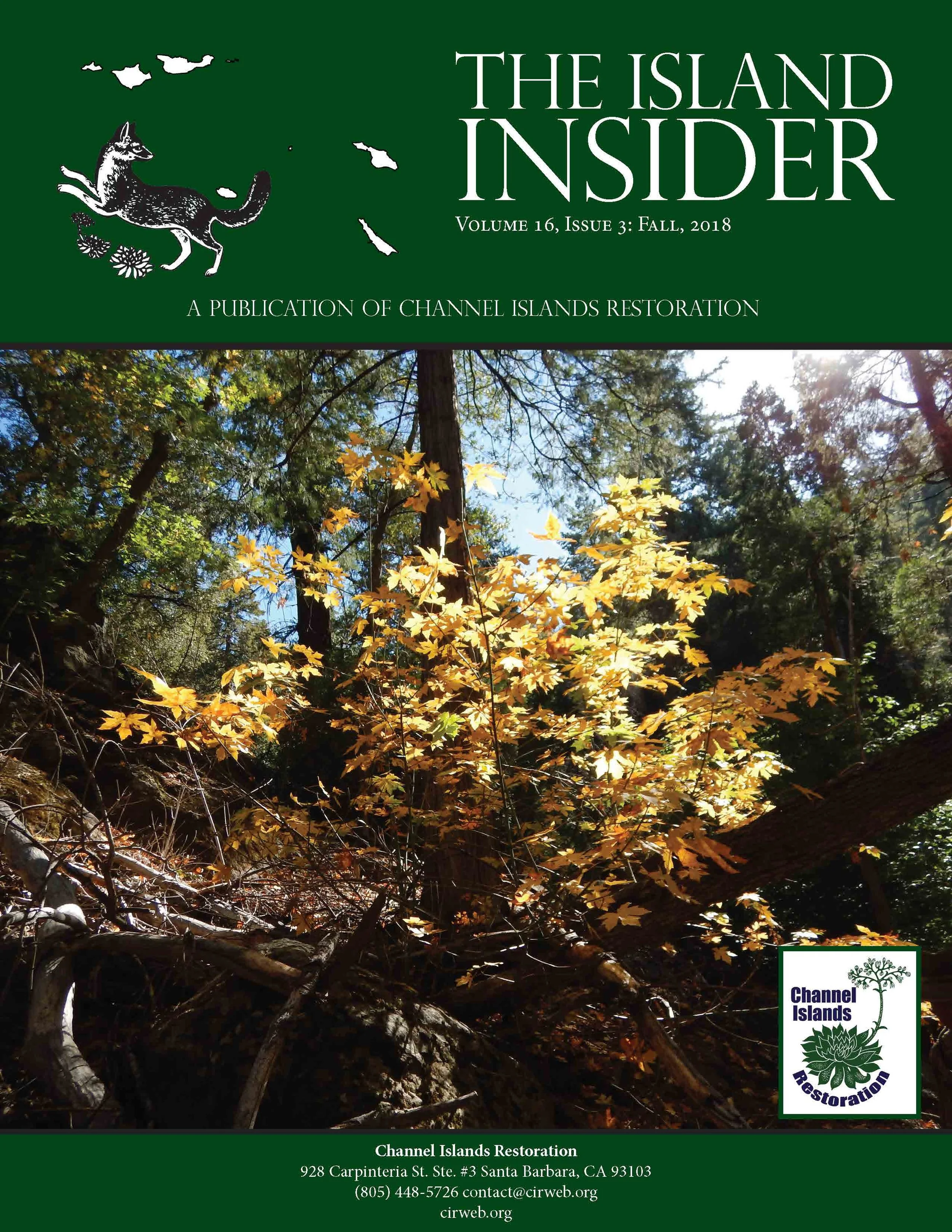 Fall 2018 Newsletter_FINAL_Page_01.jpg