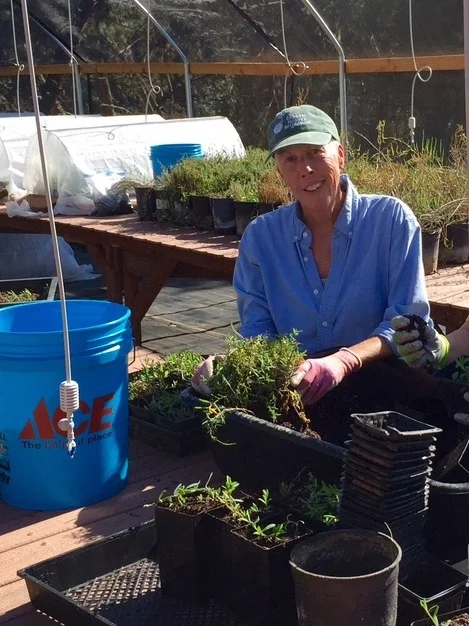 Kelle Green, CIR’s Nursery Manager working with plants in her nursery.