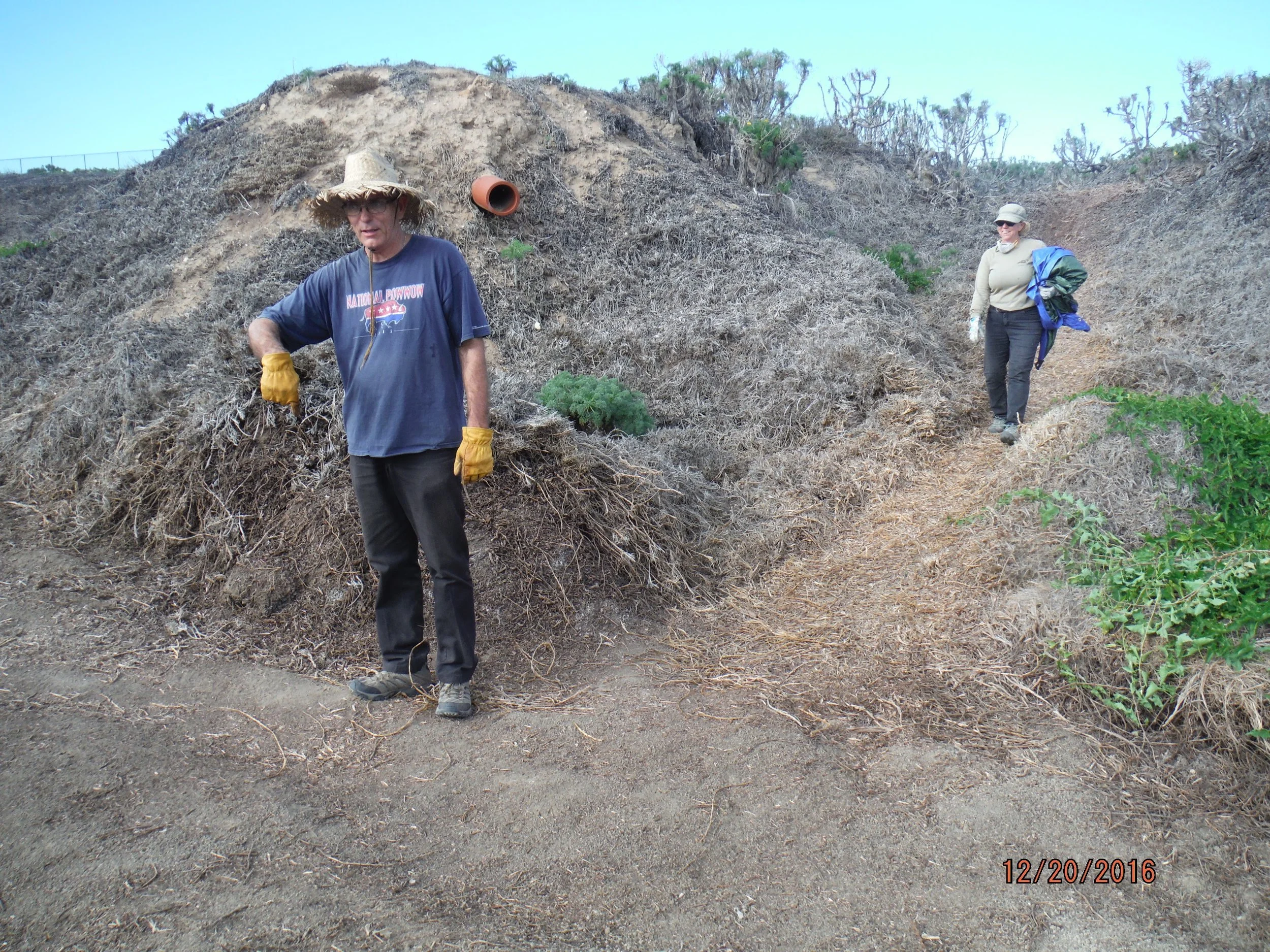 DSCF2094.jpg