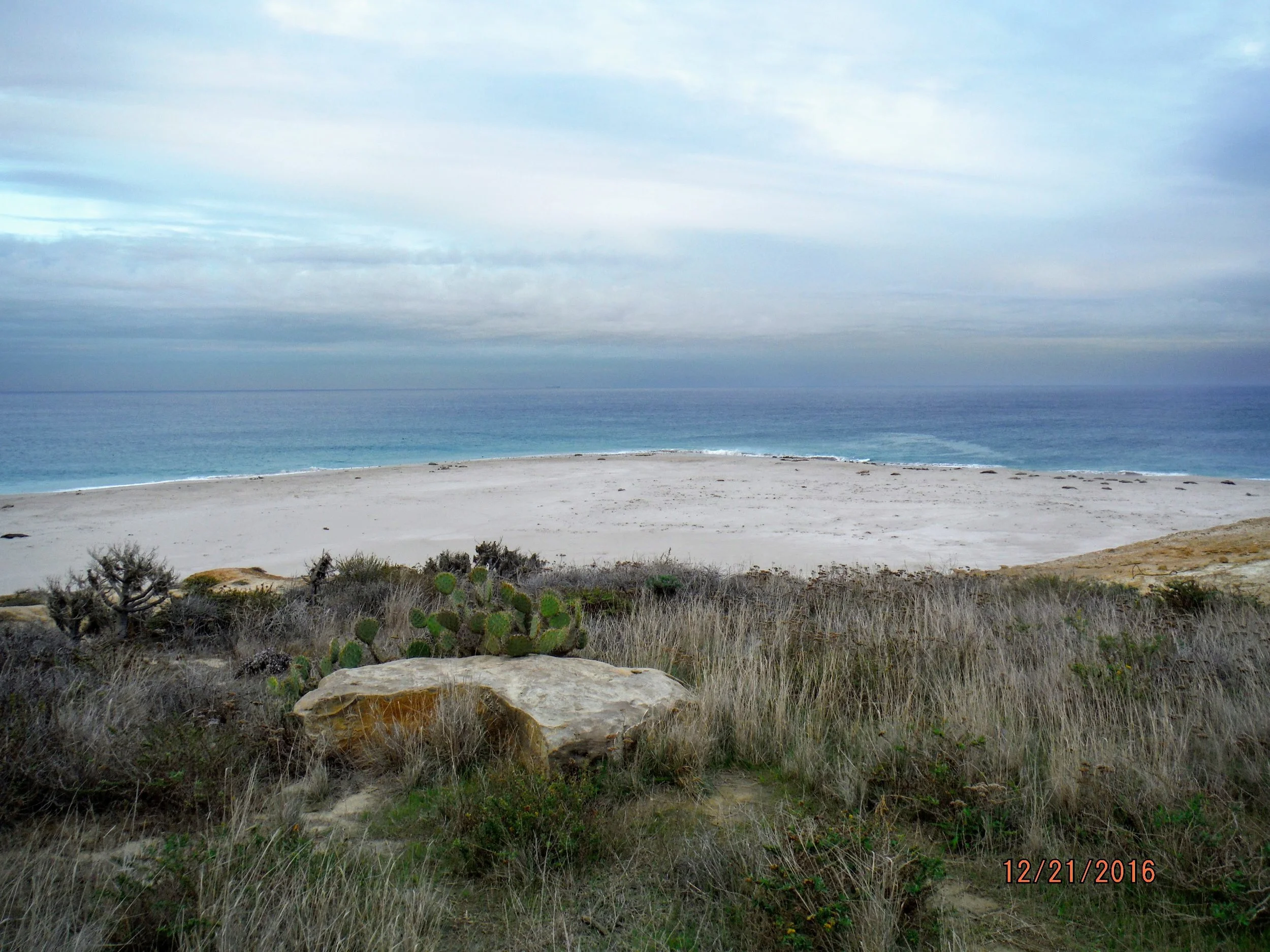 DSCF2125.jpg