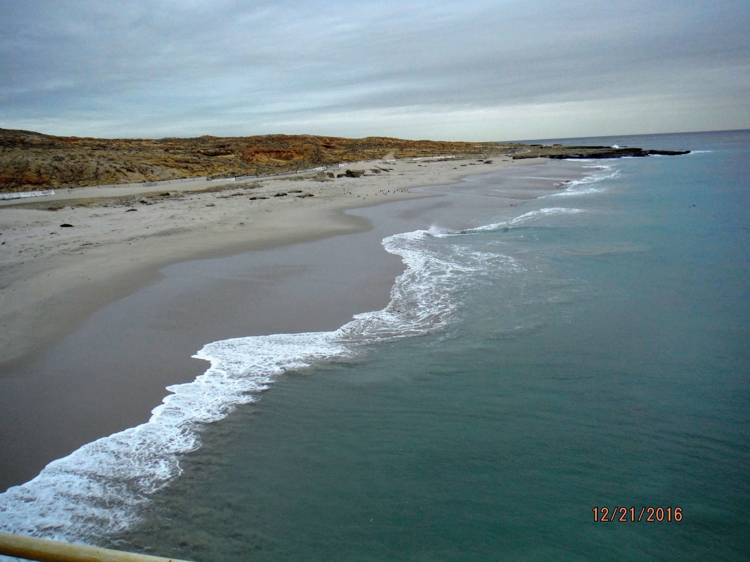 DSCF2137.jpg
