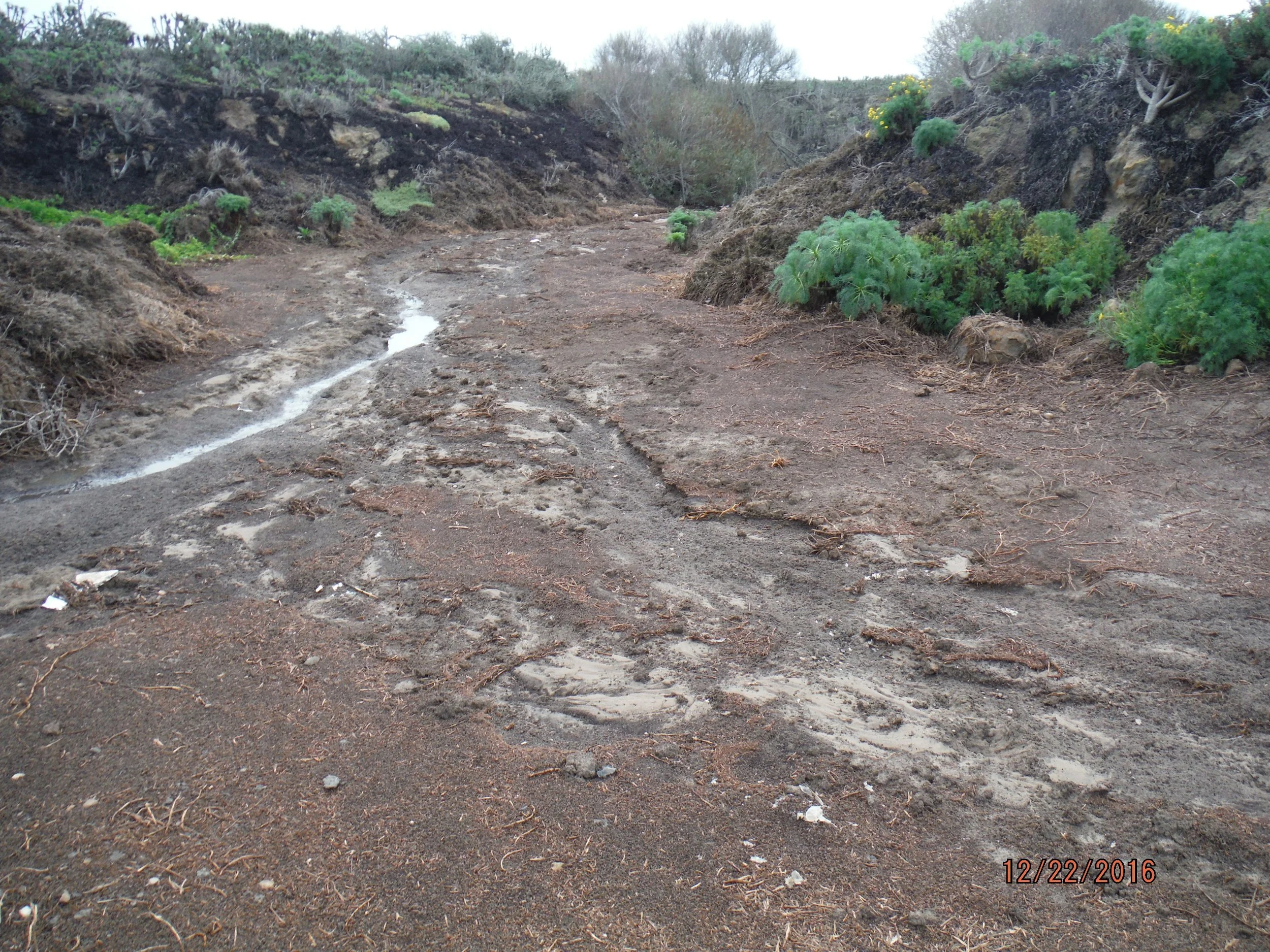 DSCF2150.jpg